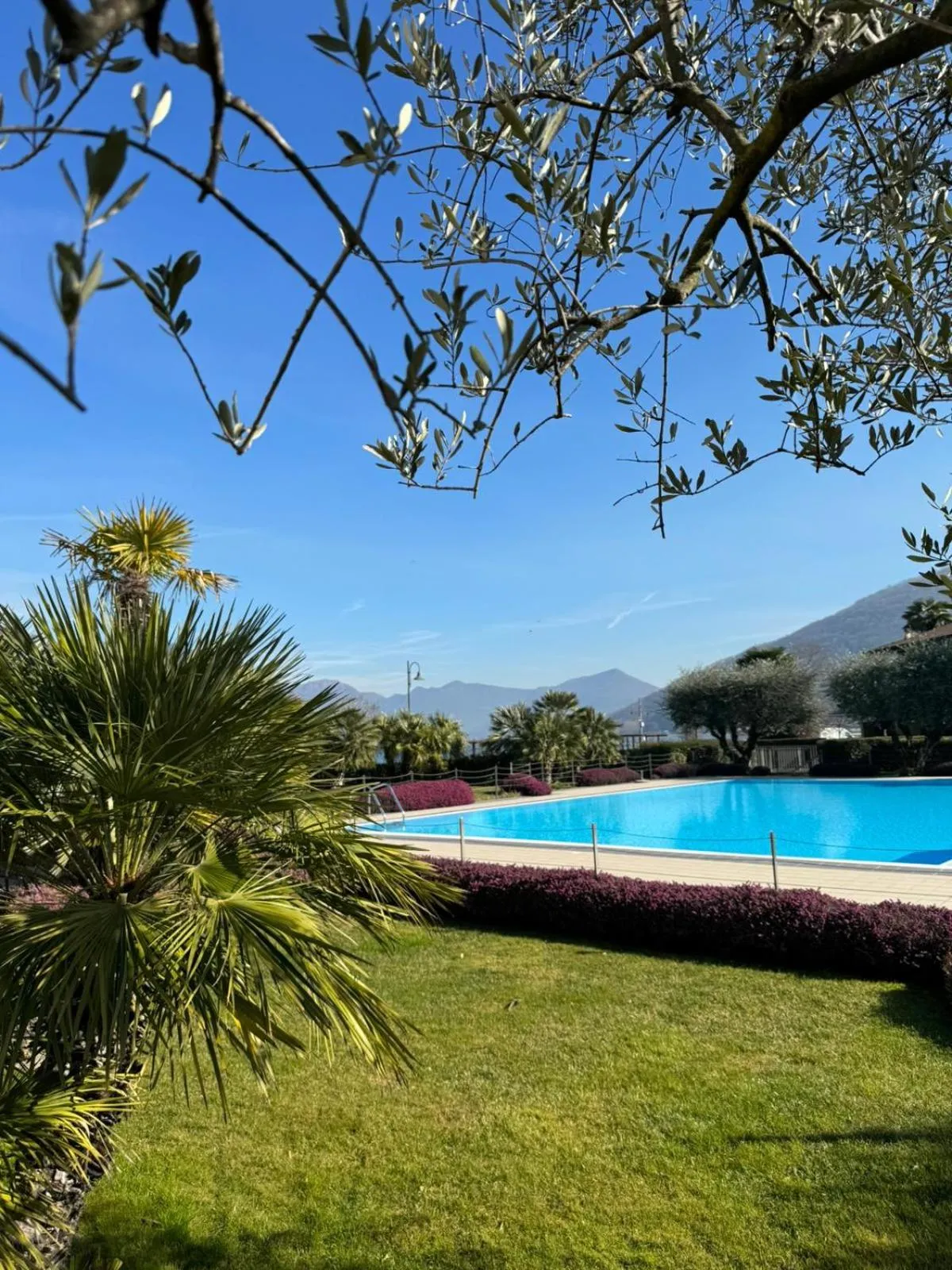 Ulivi Hotel & Residence