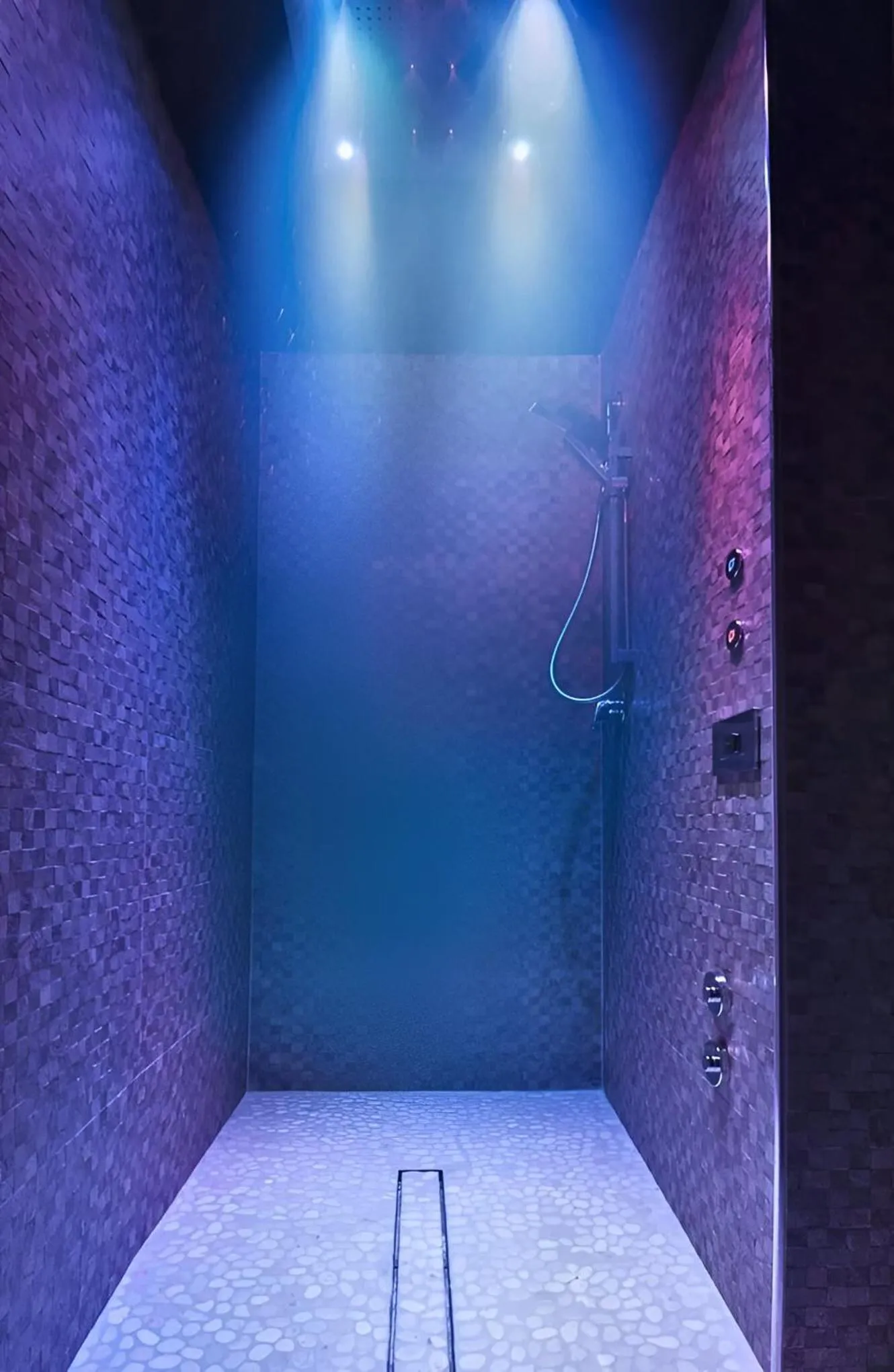 Spa and wellness centre/facilities in Hotel Nettunia