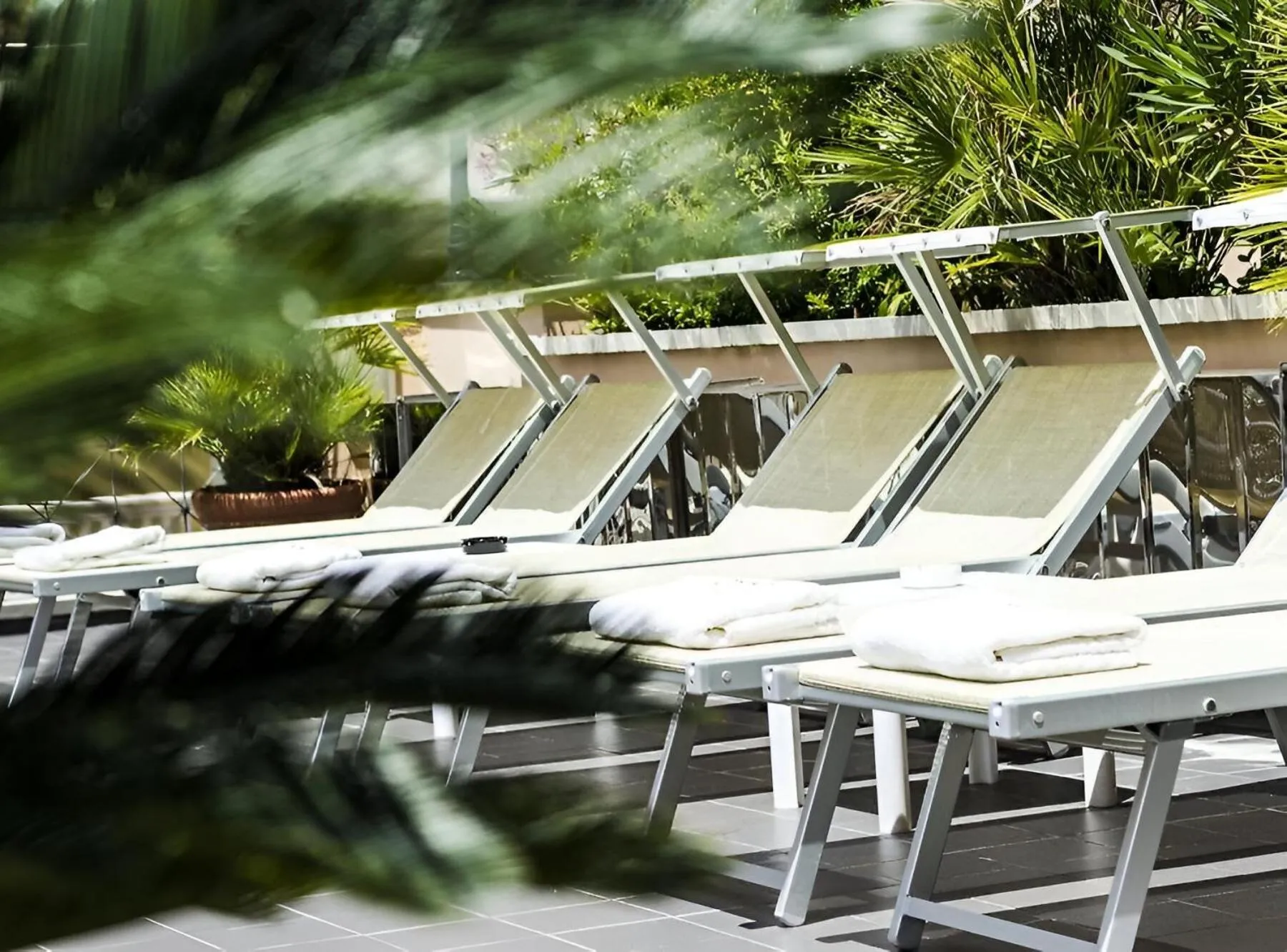 Balcony/Terrace in Hotel Nettunia