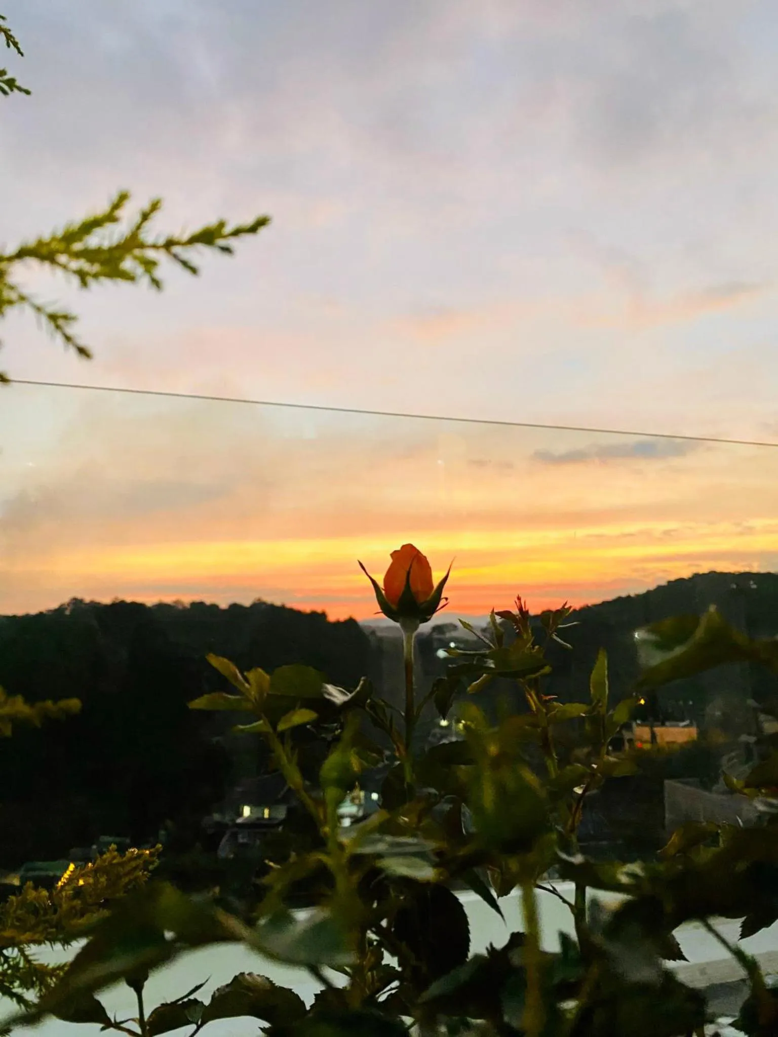 Natural landscape in SHIN VILLAGE HOTEL