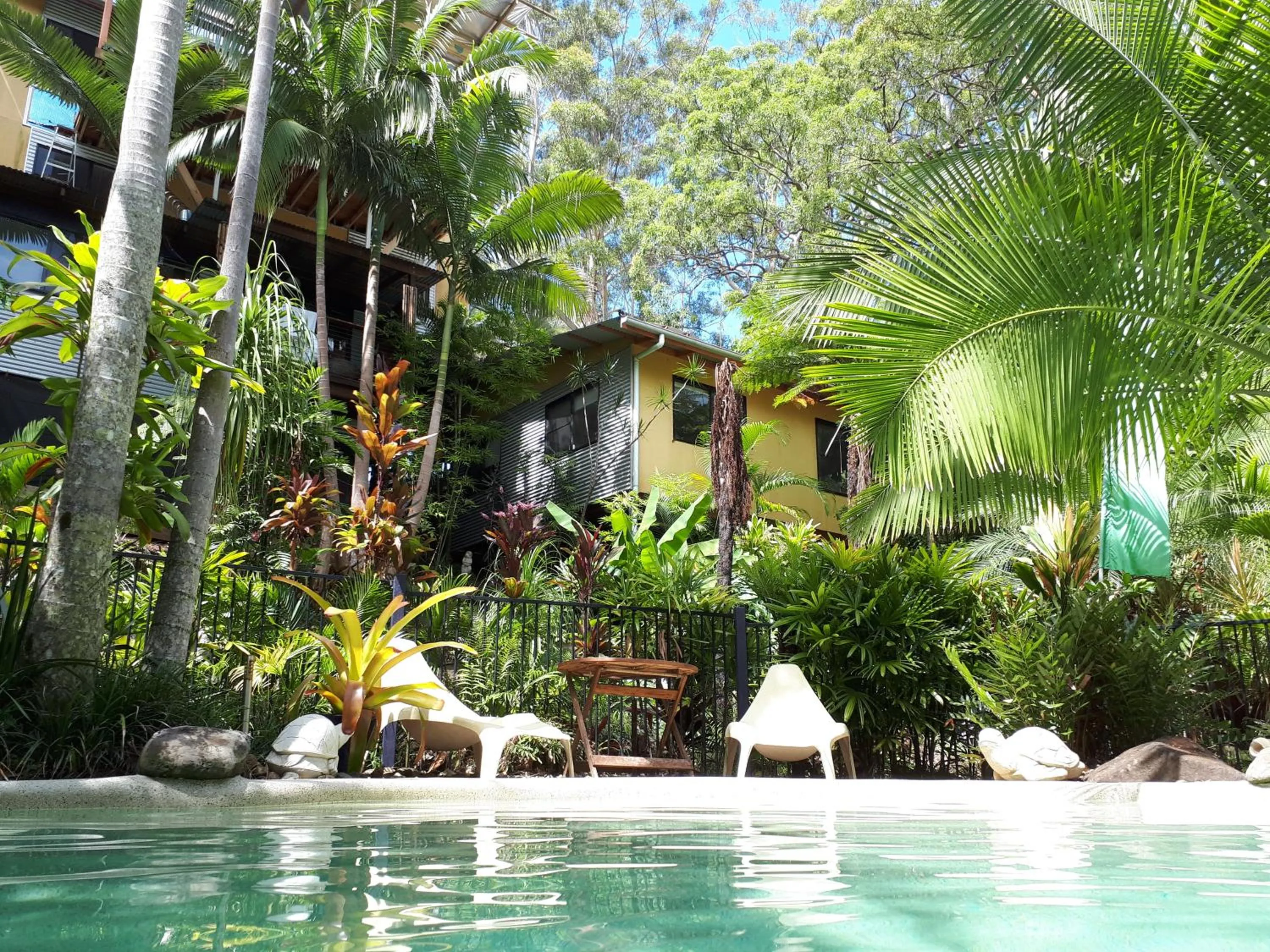 Swimming pool in Alaya Ascend