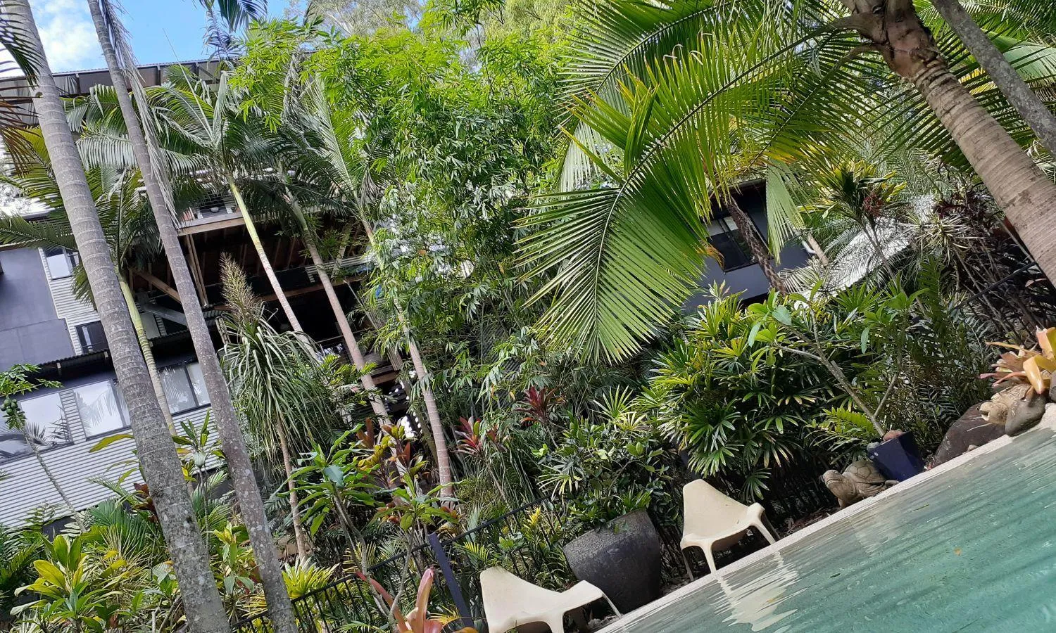 Patio in Alaya Ascend