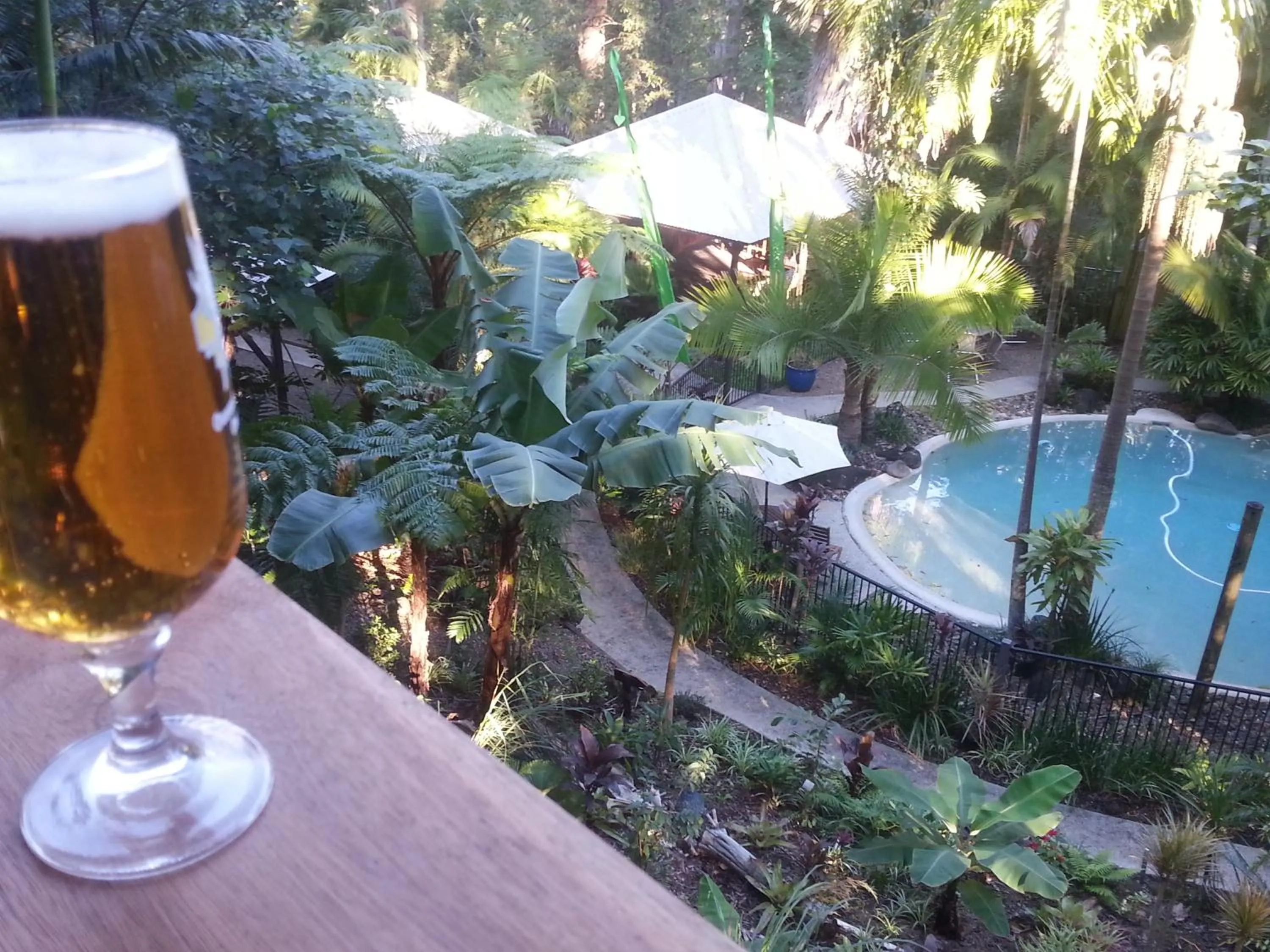 Alcoholic drinks in Alaya Ascend