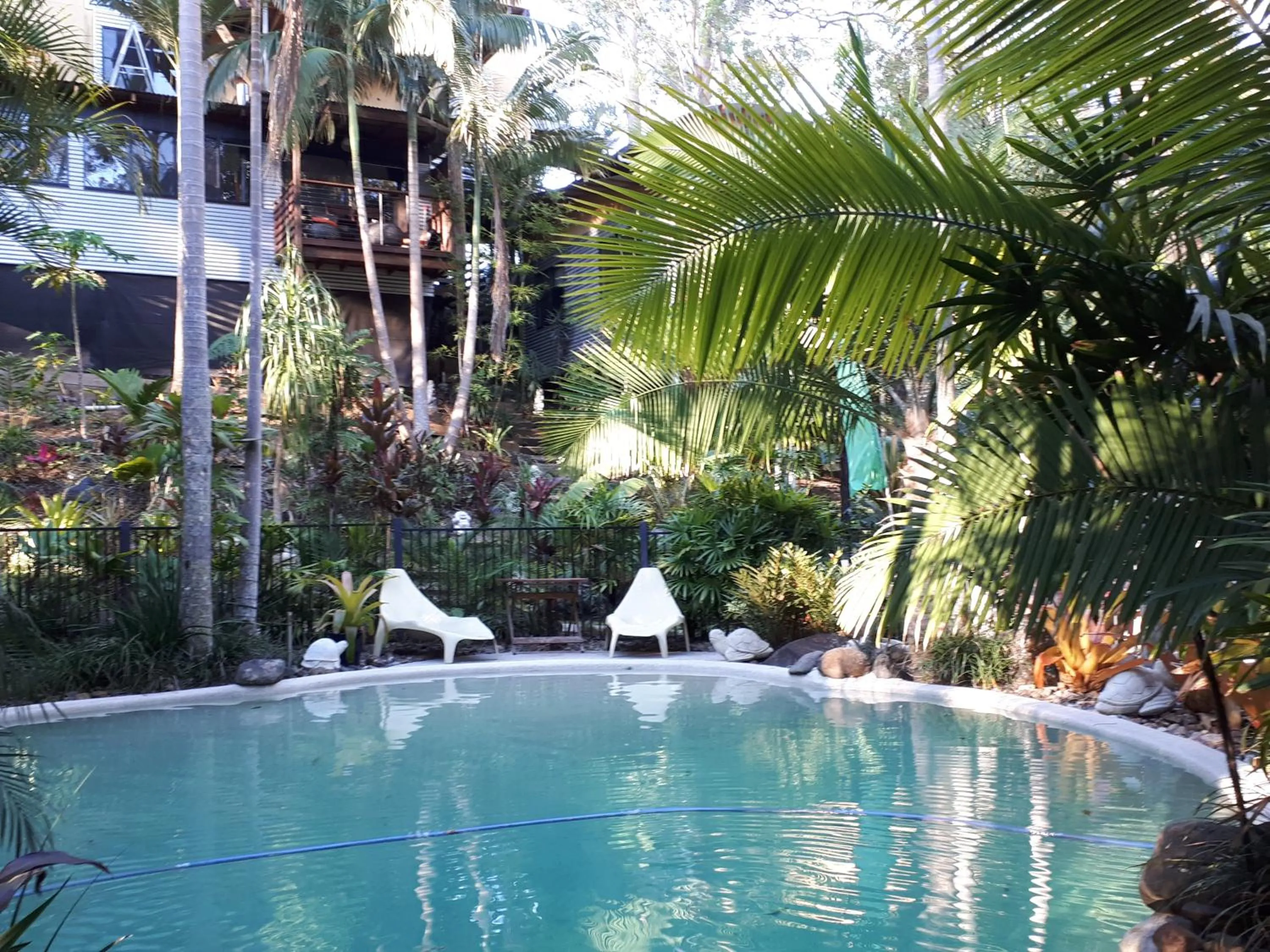 Swimming pool in Alaya Ascend