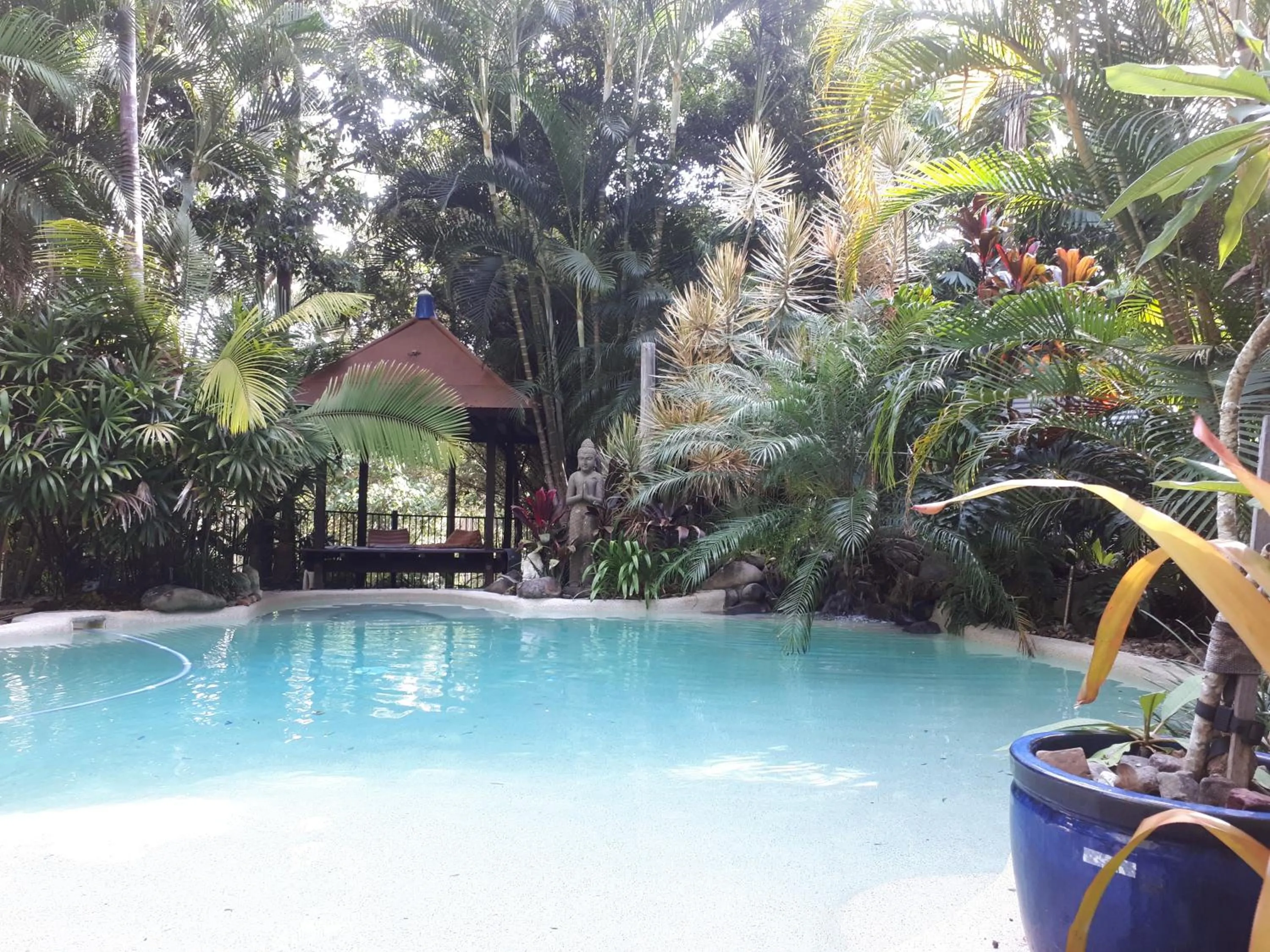 Swimming pool in Alaya Ascend