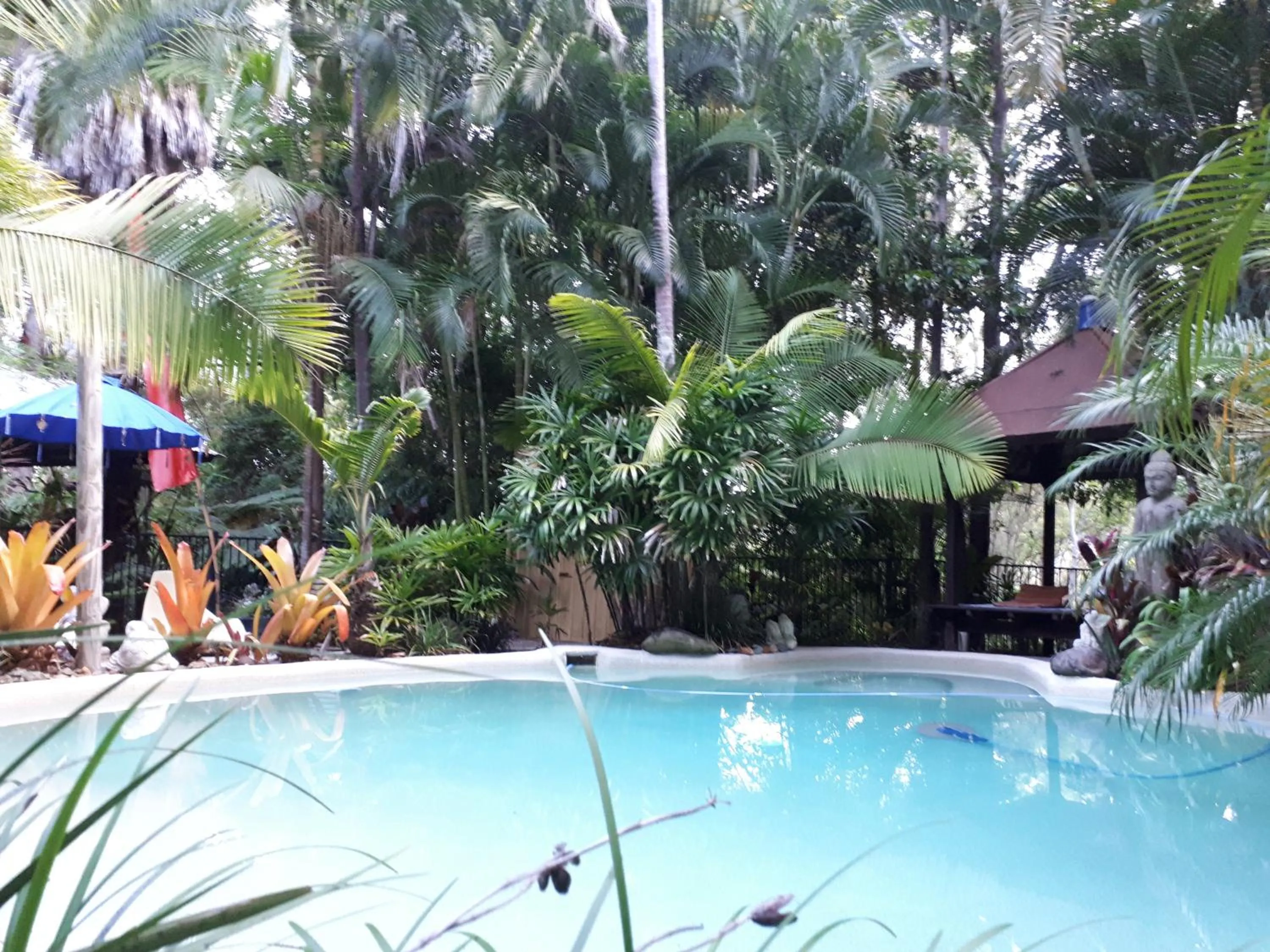 Swimming pool in Alaya Ascend