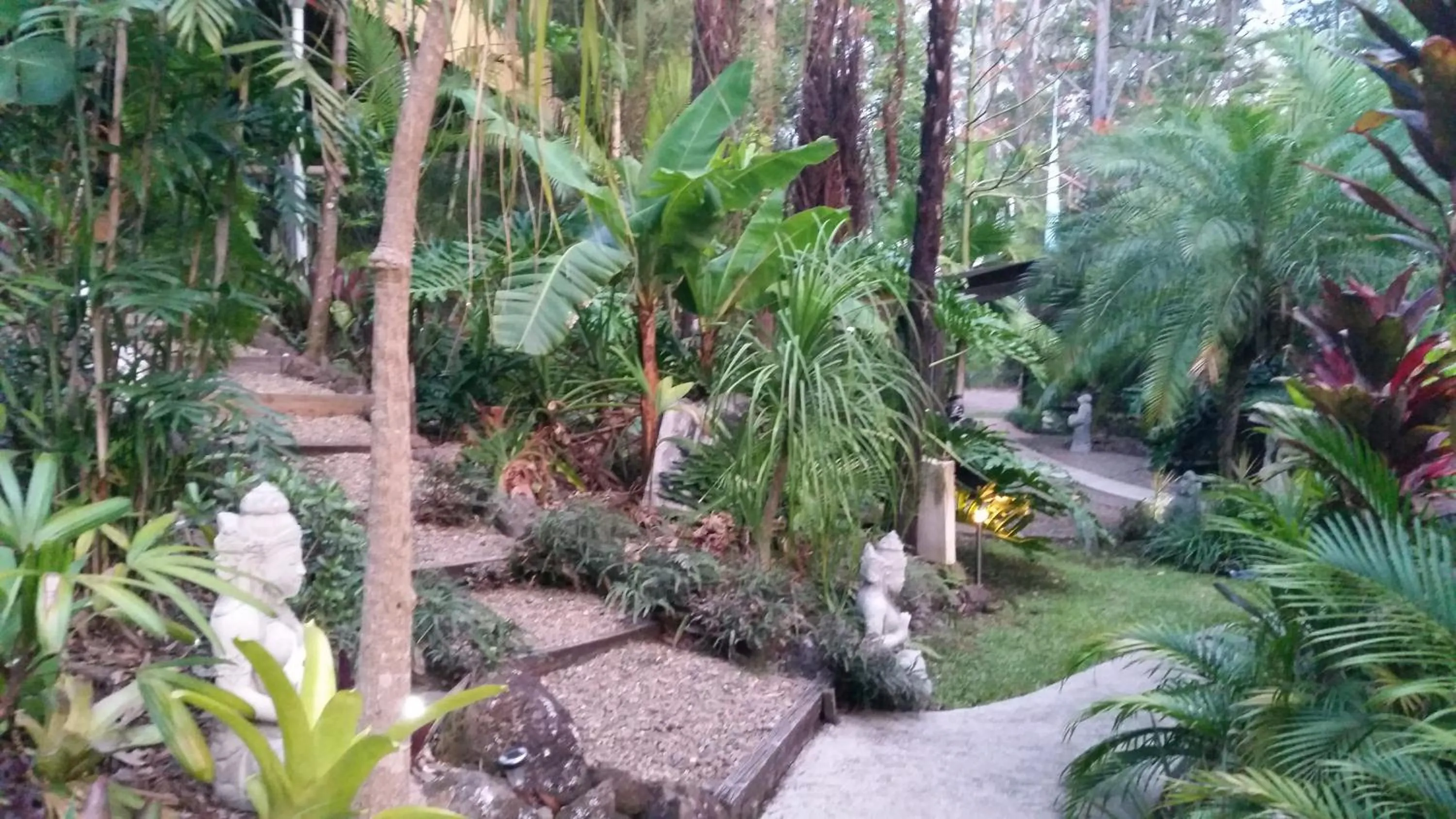 Natural landscape in Alaya Ascend