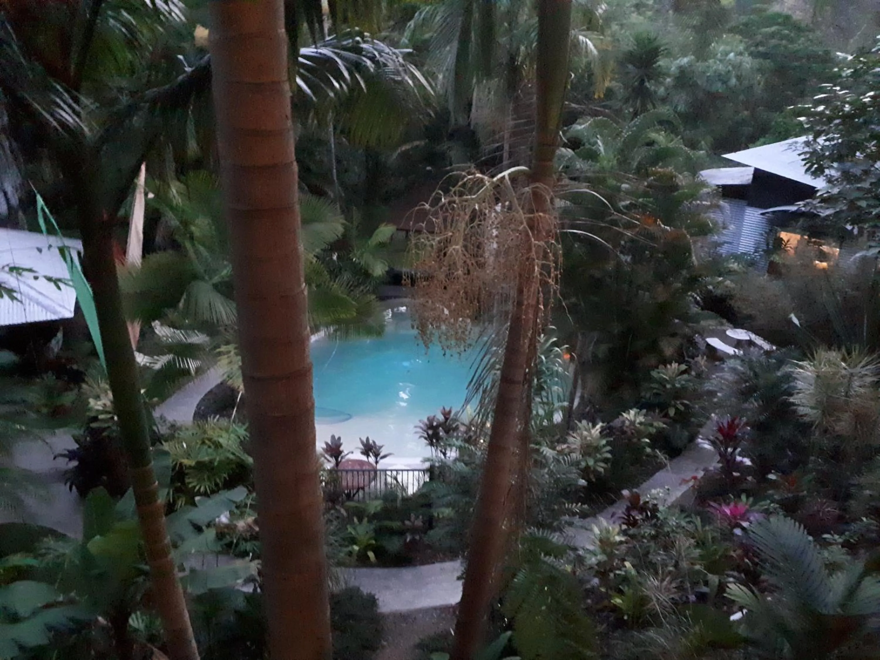 Pool view in Alaya Ascend