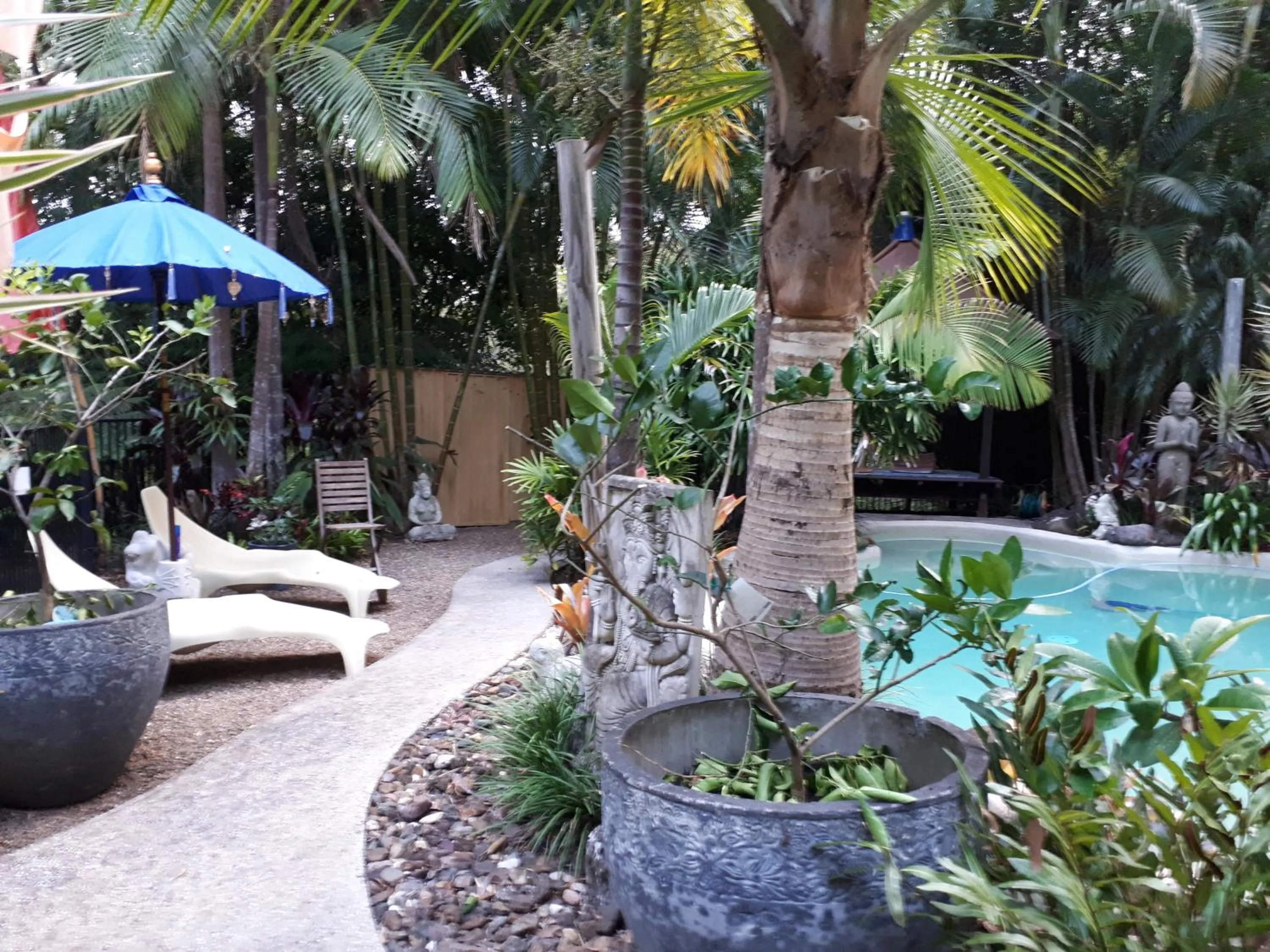 Garden in Alaya Ascend