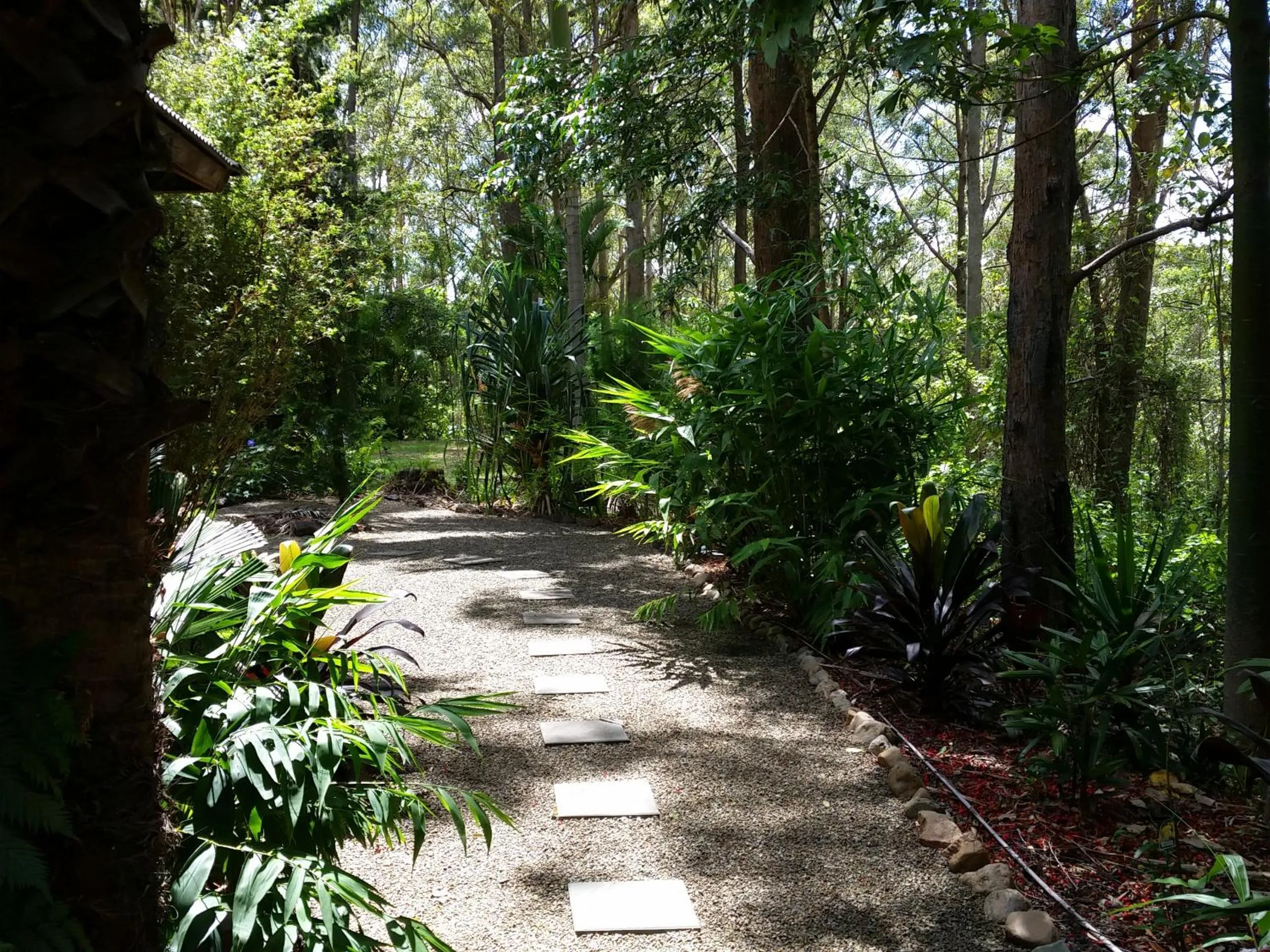 Garden in Alaya Ascend