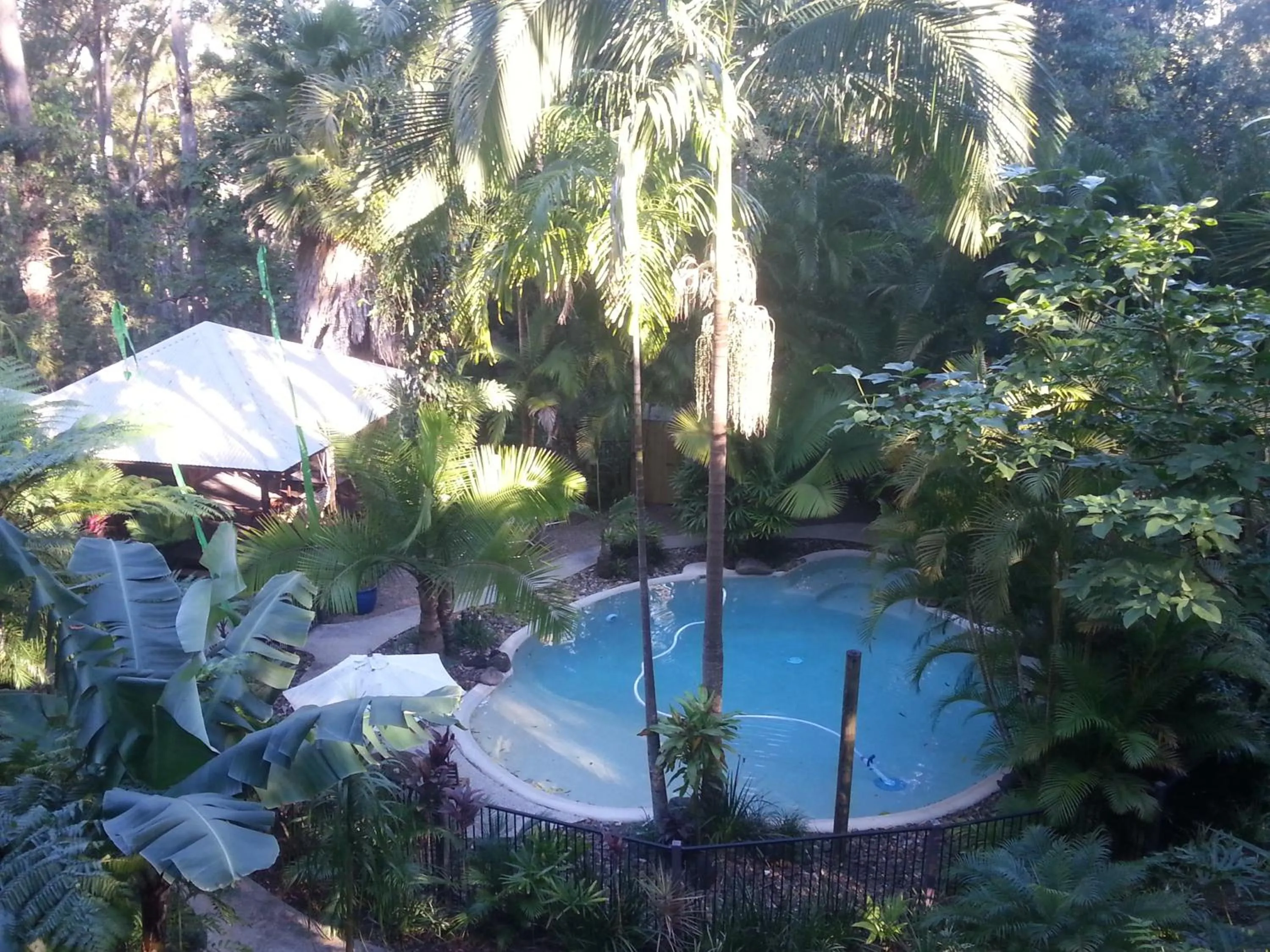 Swimming pool in Alaya Ascend