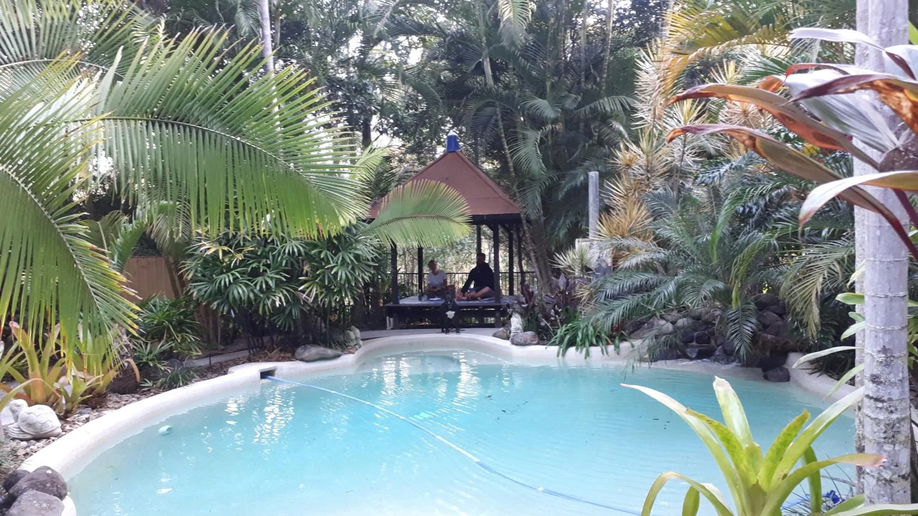 Swimming pool in Alaya Ascend