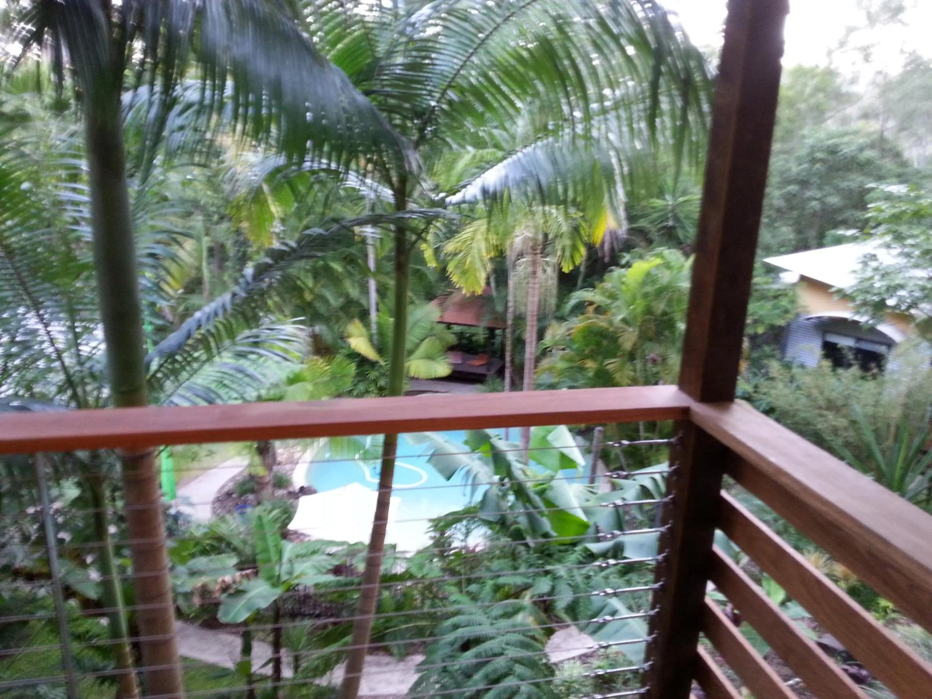 Garden in Alaya Ascend