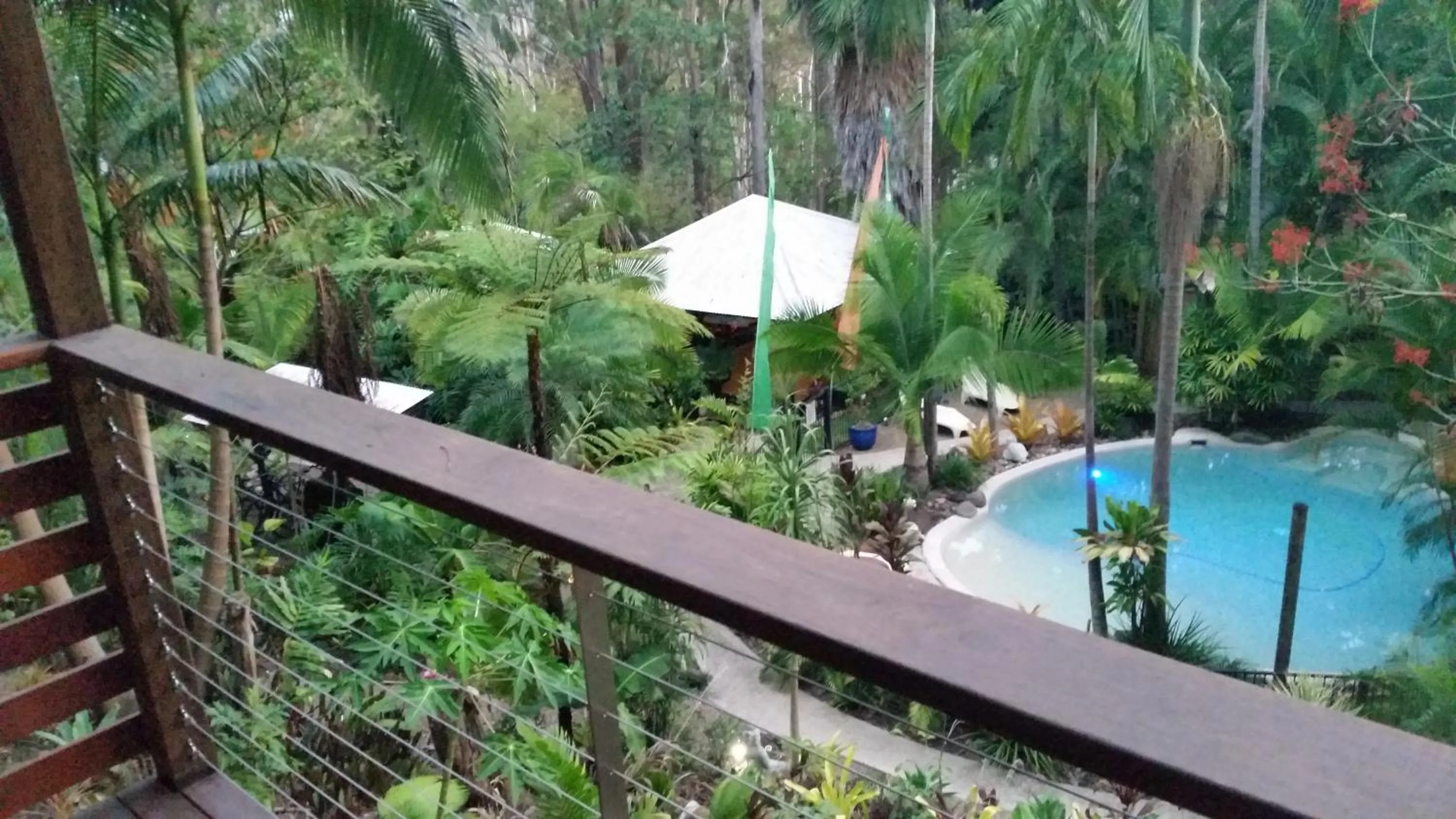 Garden view in Alaya Ascend