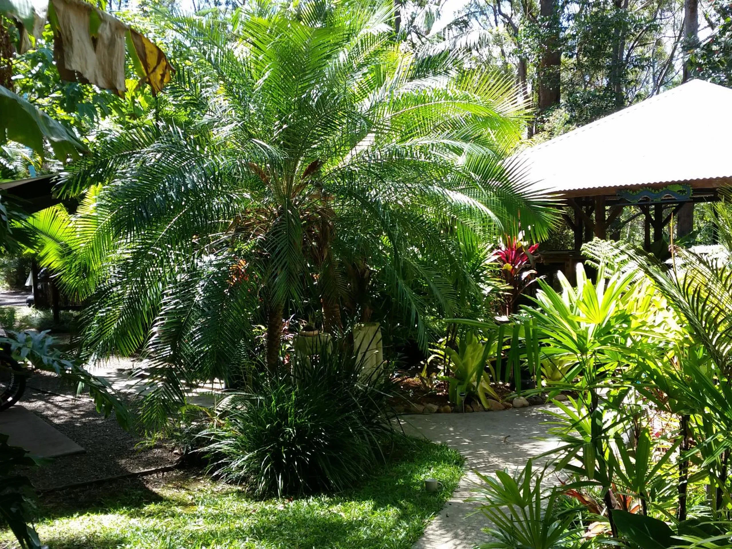 Natural landscape in Alaya Ascend