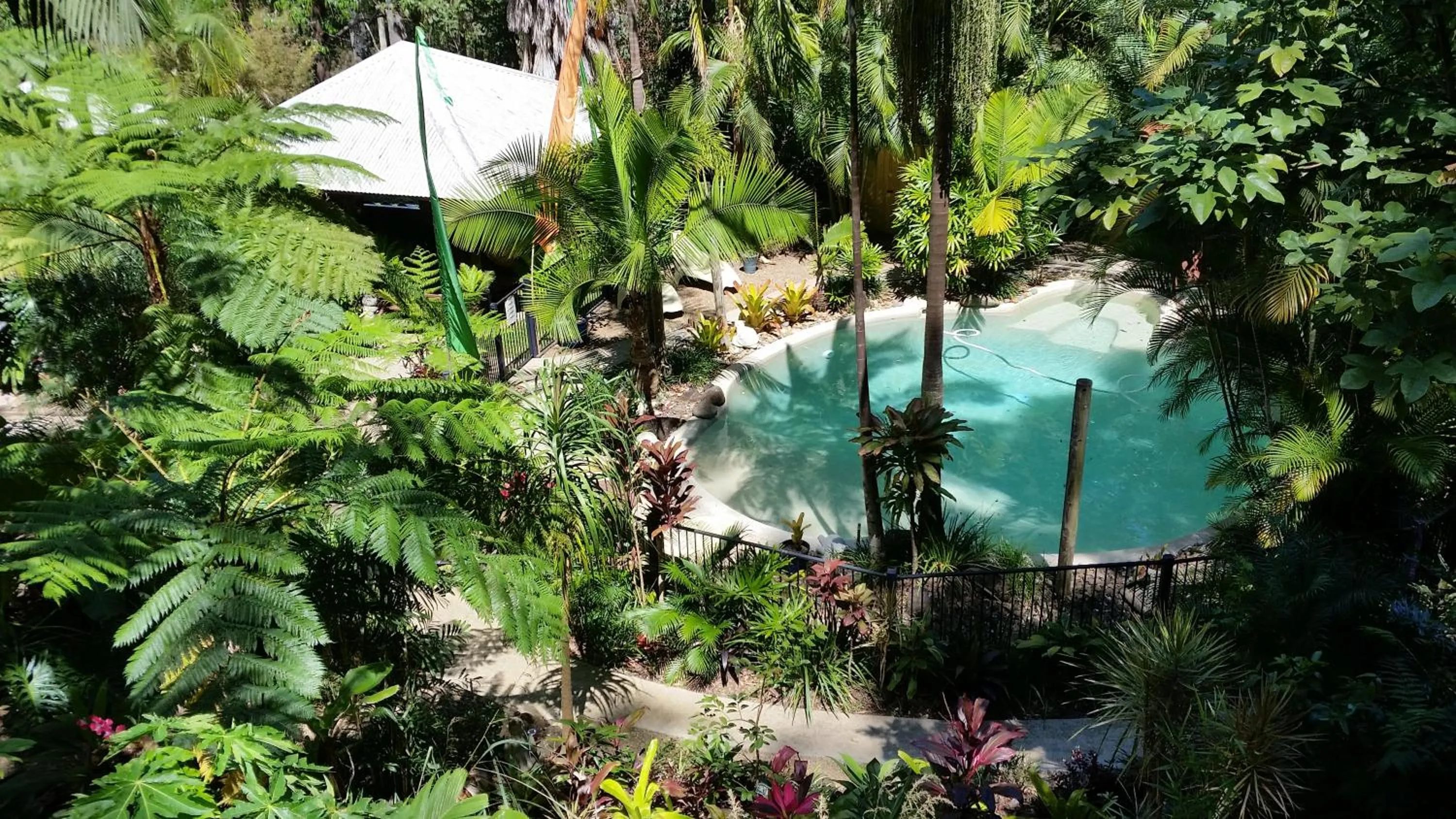 Garden view in Alaya Ascend