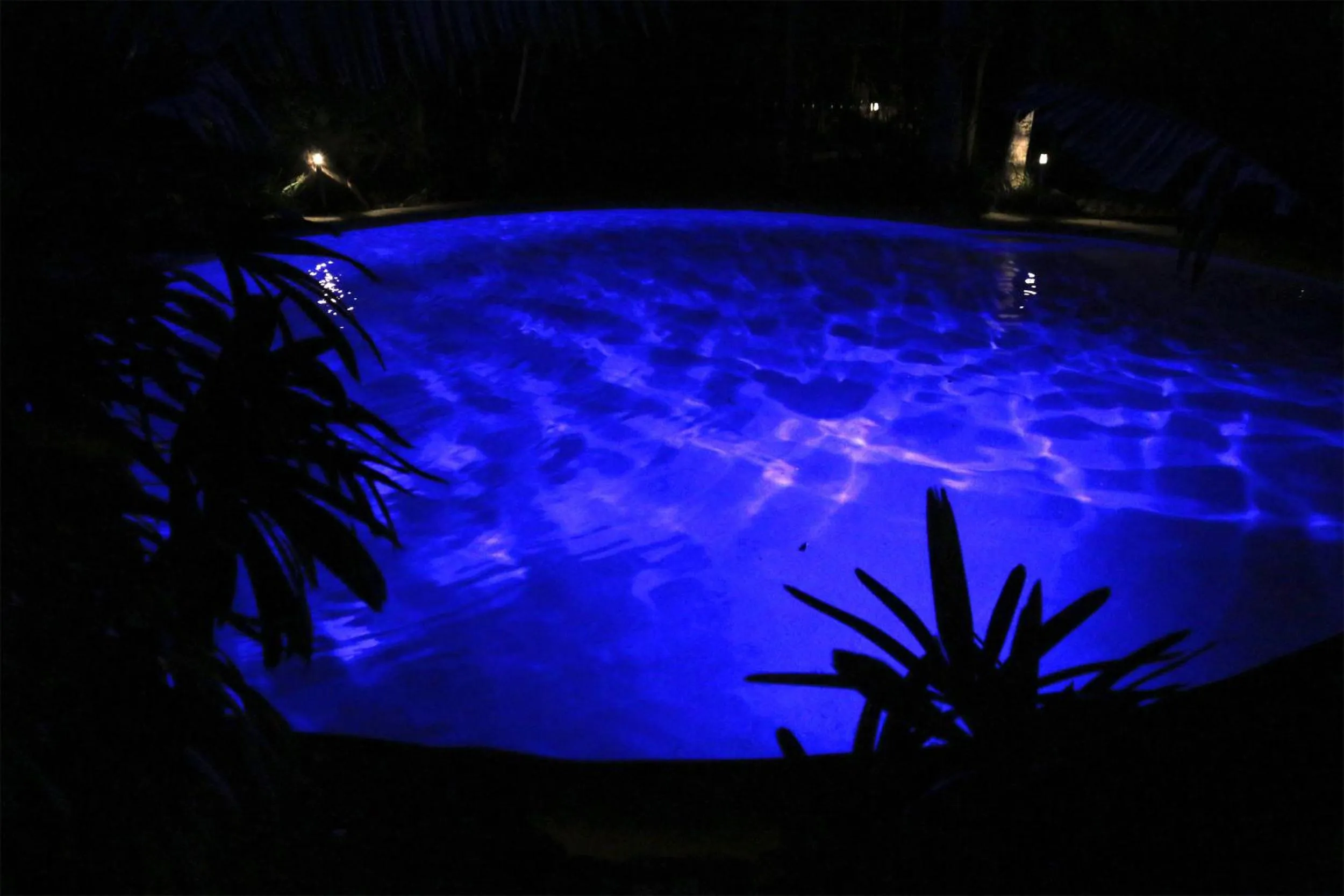 Swimming pool in Alaya Ascend