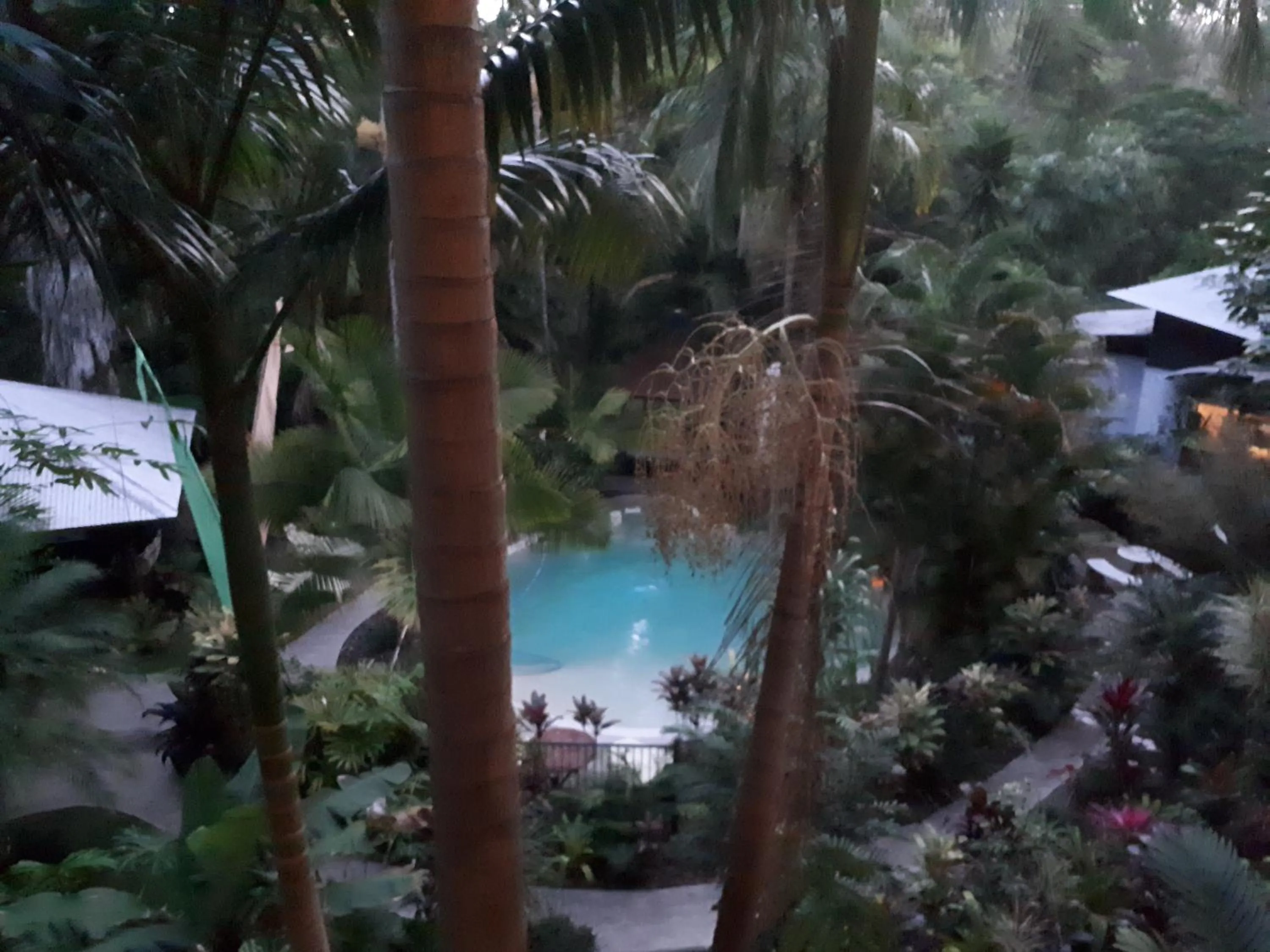 Pool view in Alaya Ascend