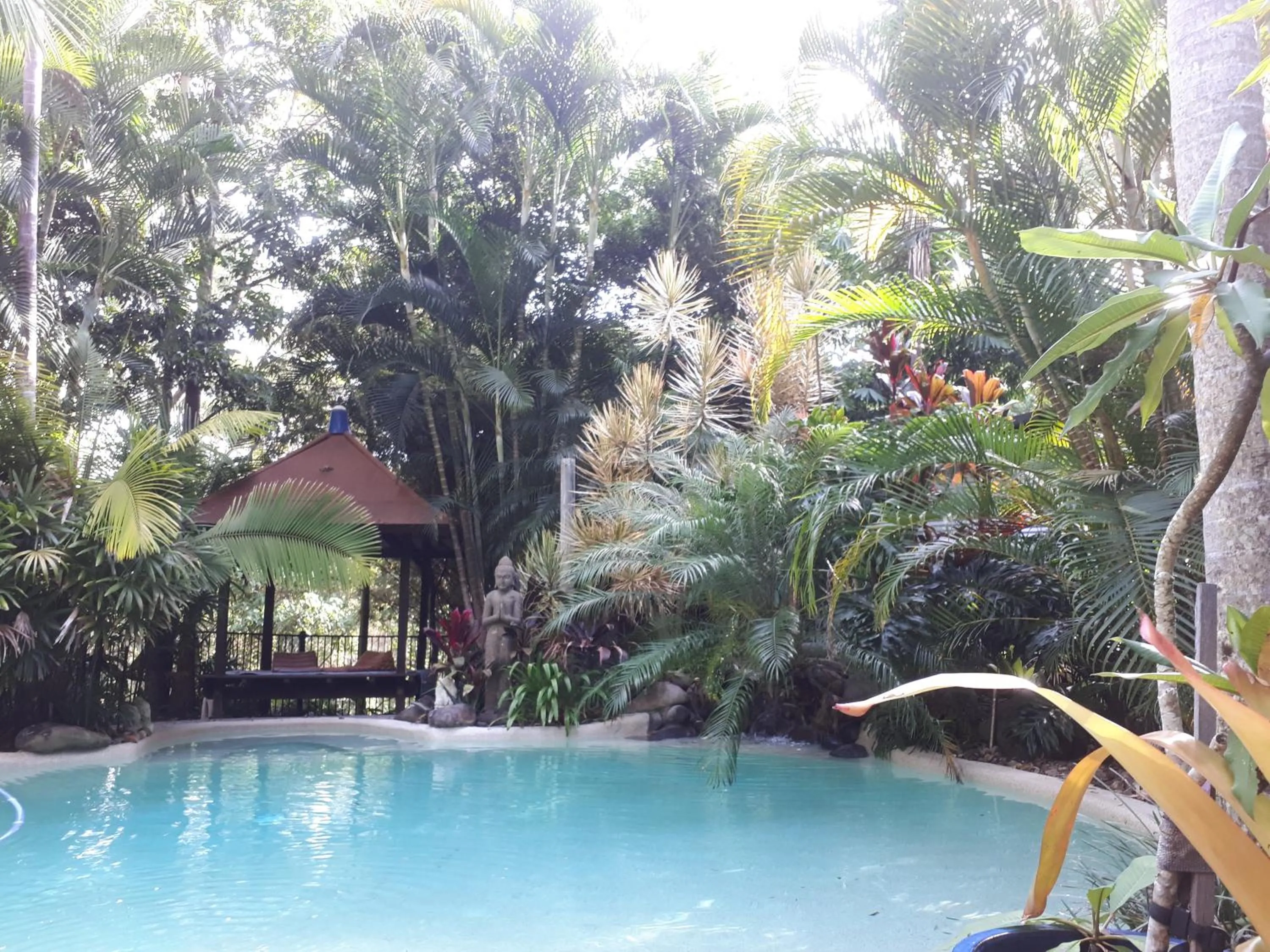 Swimming pool in Alaya Ascend