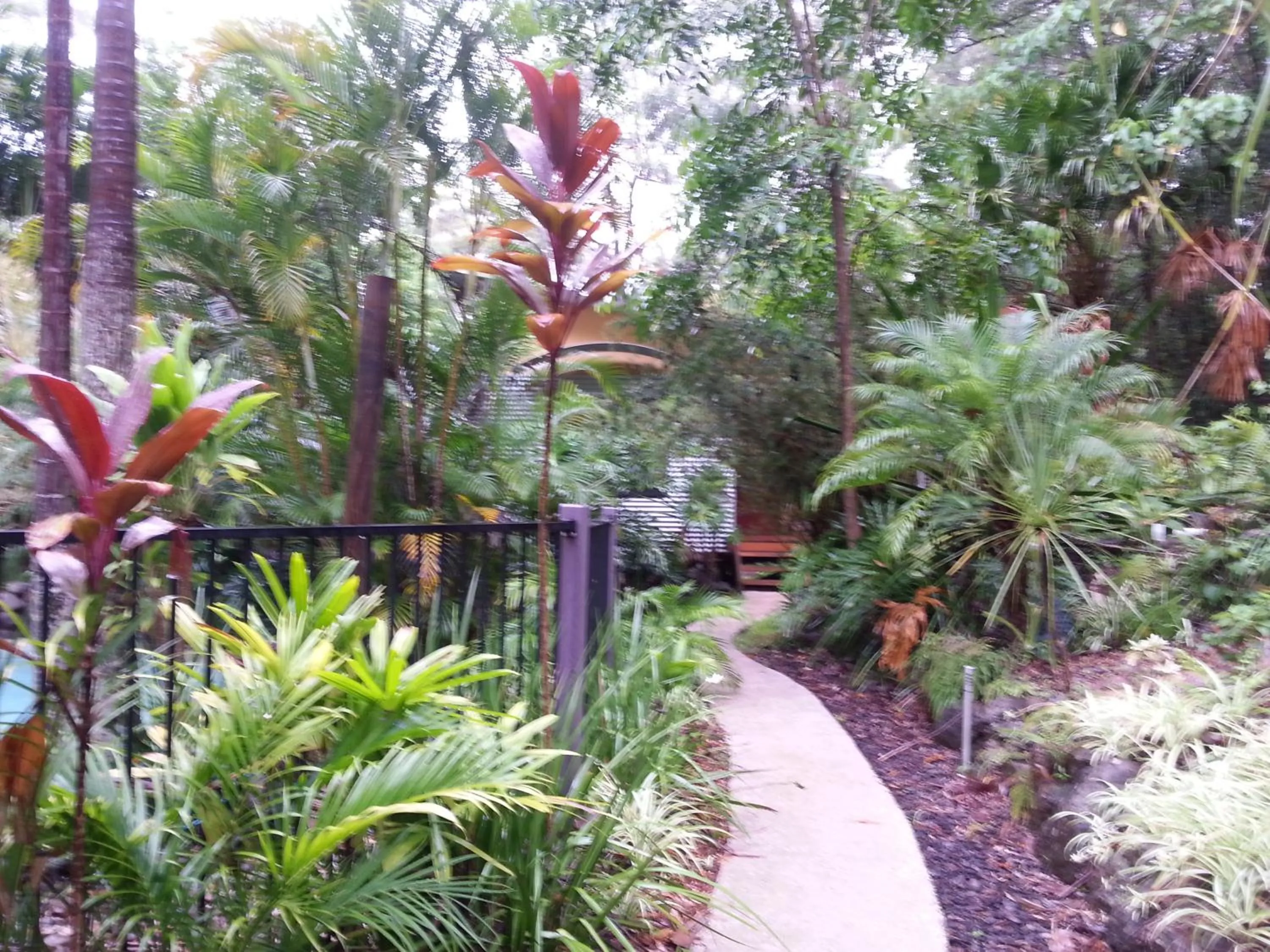 Property building in Alaya Ascend