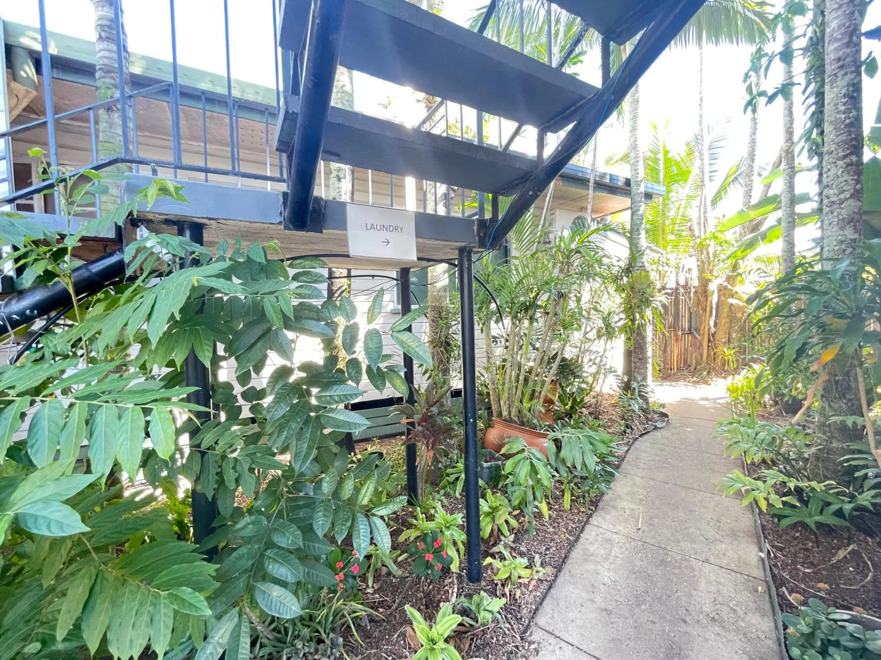 Garden in Cairns City Motel