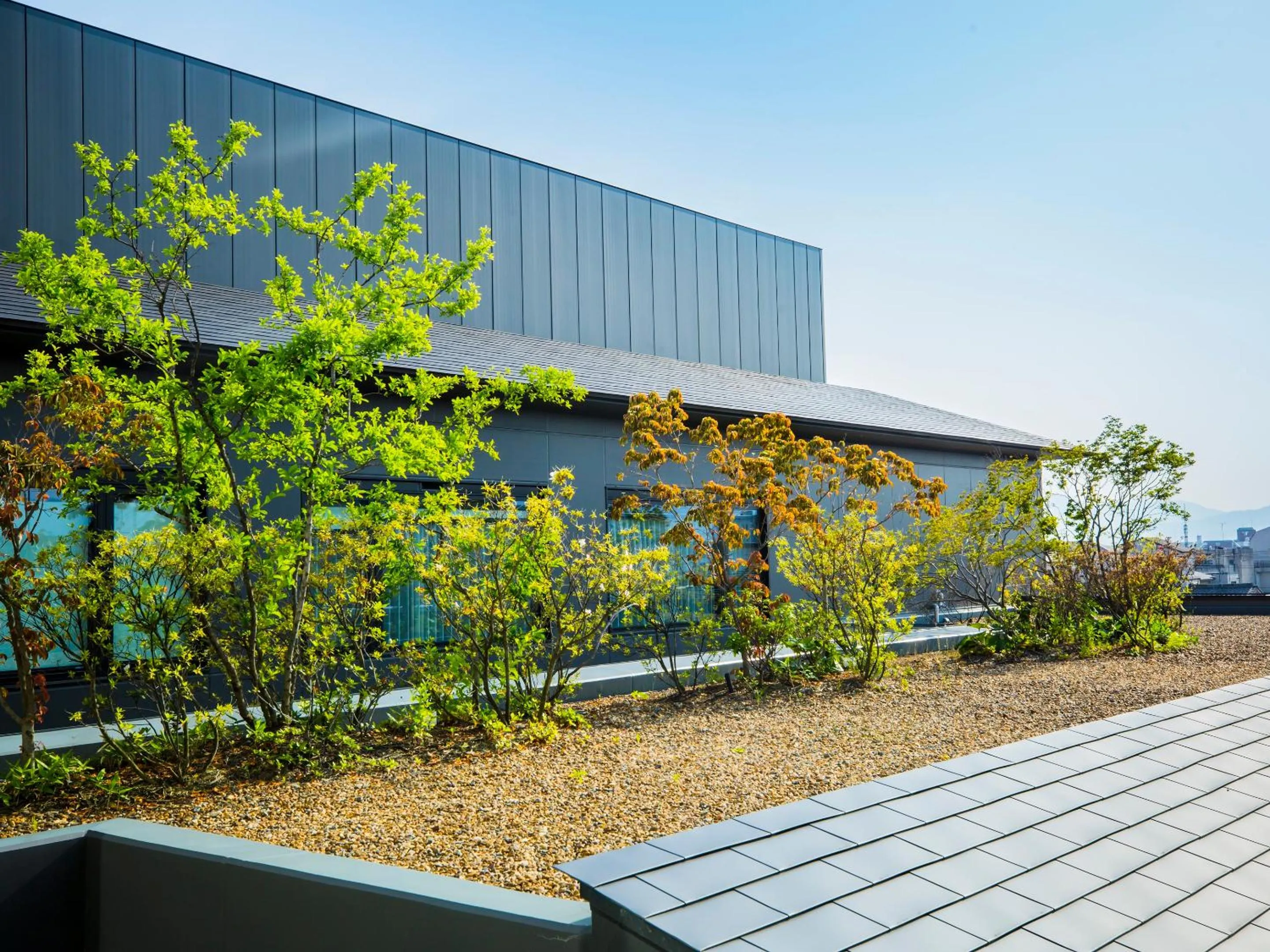 Garden view in Hyatt Place Kyoto