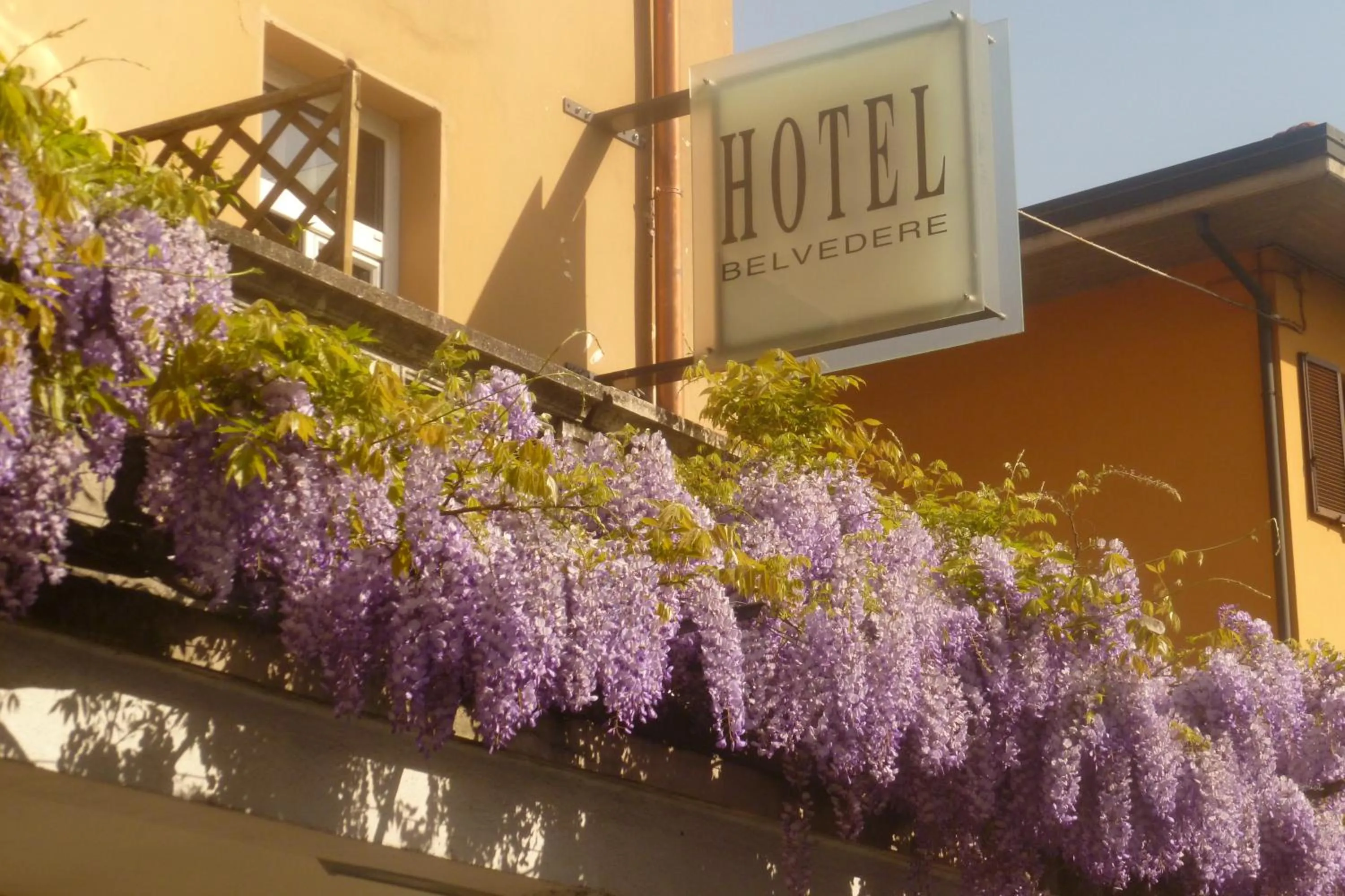 Property building in Hotel Belvedere