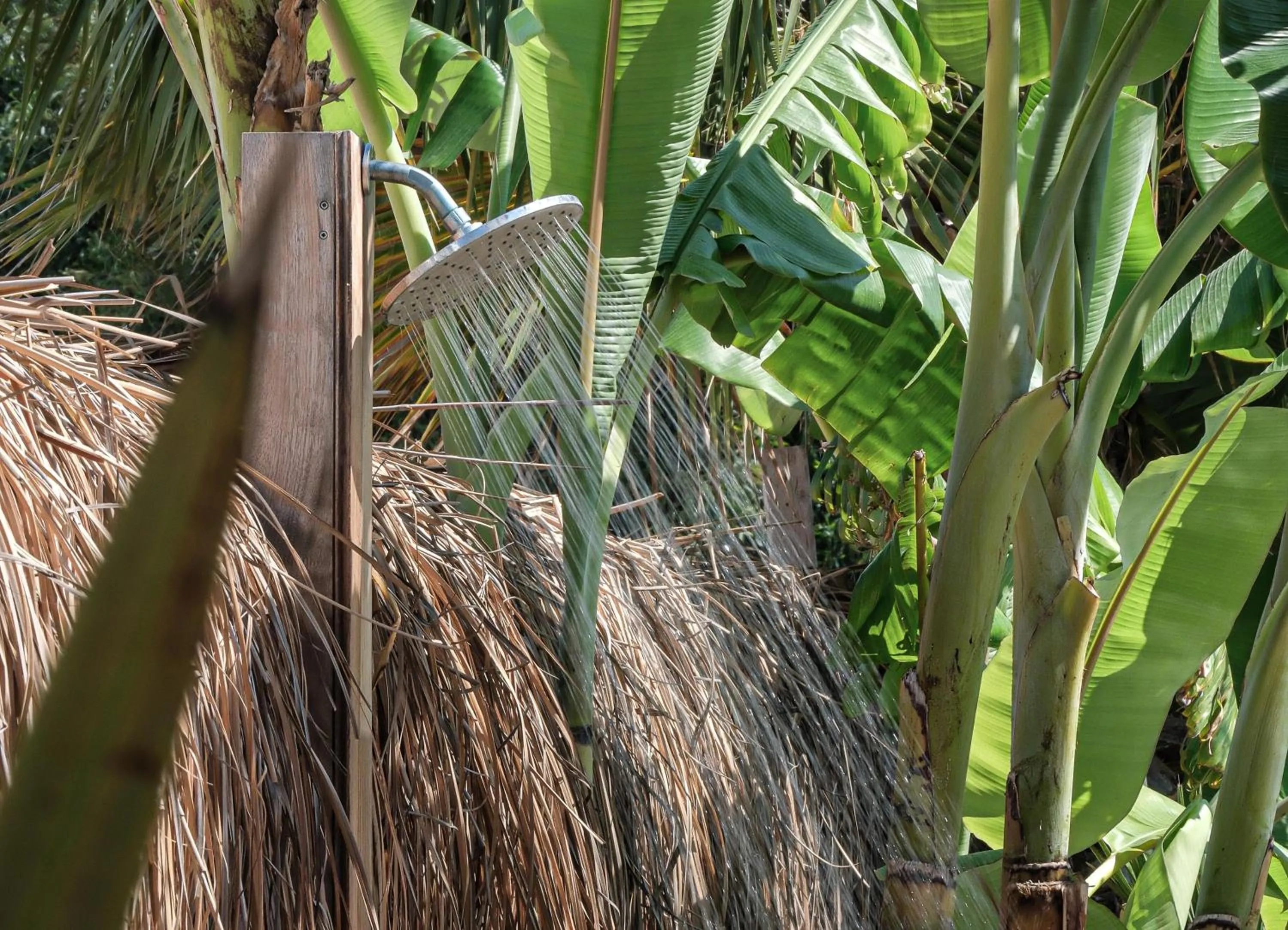 Natural landscape in Voger Alaçatı Silence