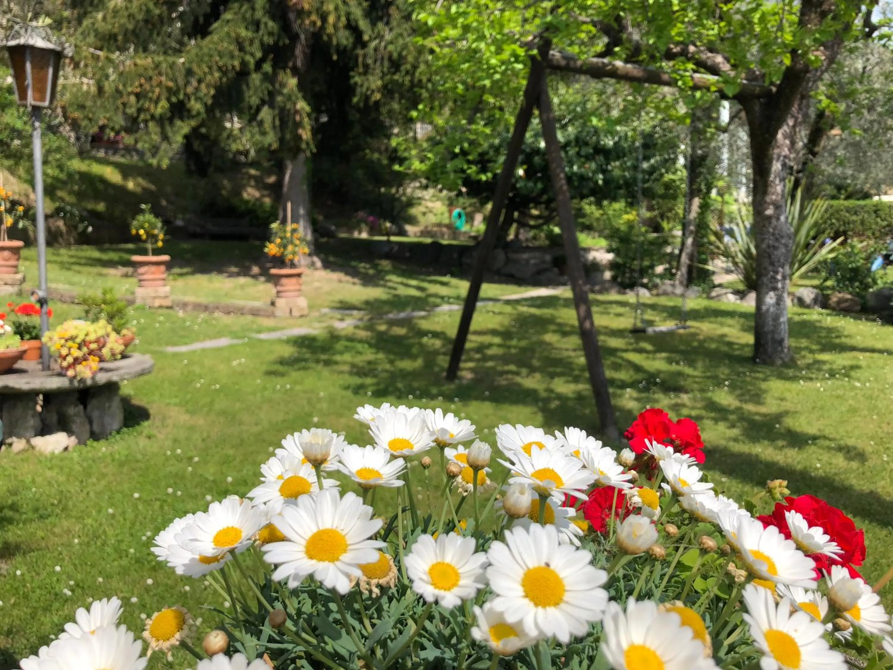 Children play ground in Hotel Palazzina