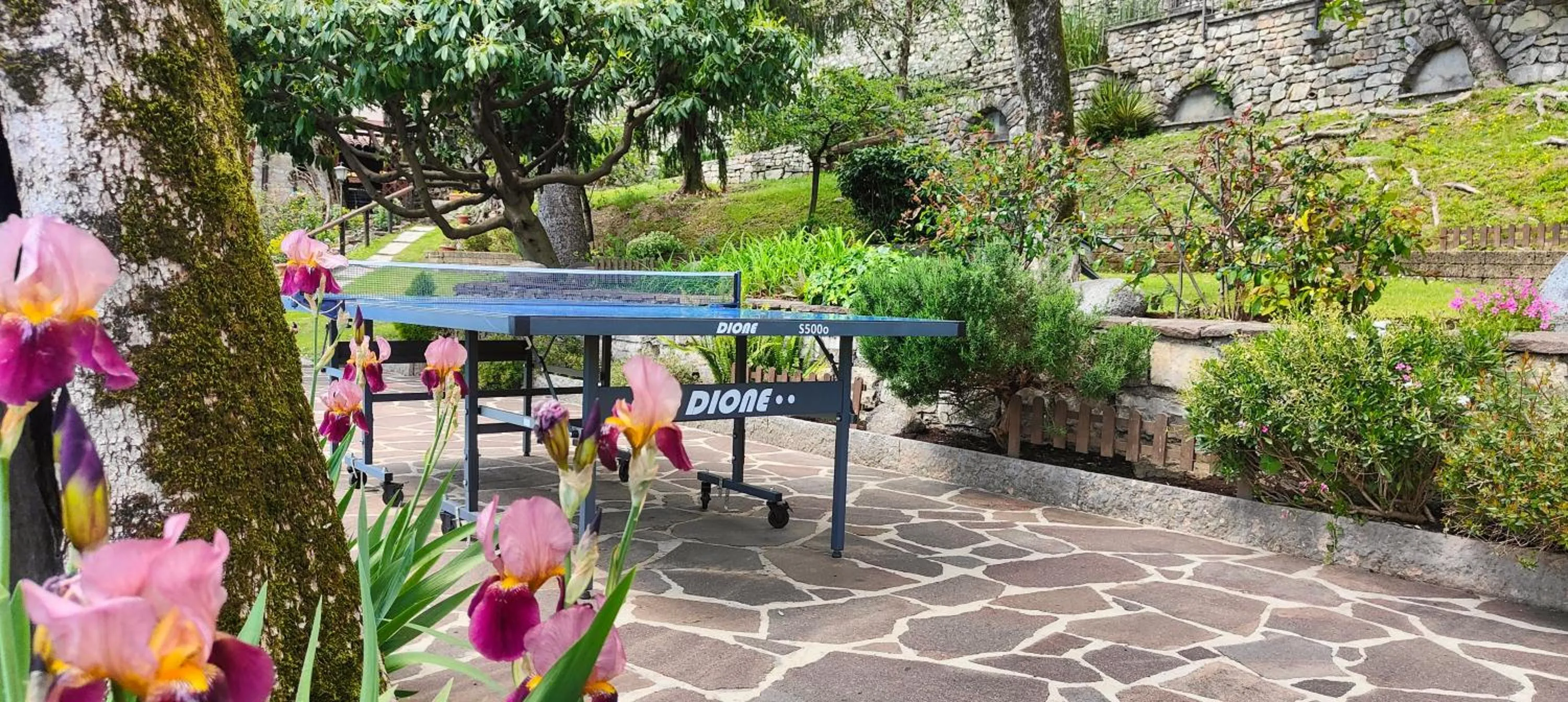 Garden view in Hotel Palazzina