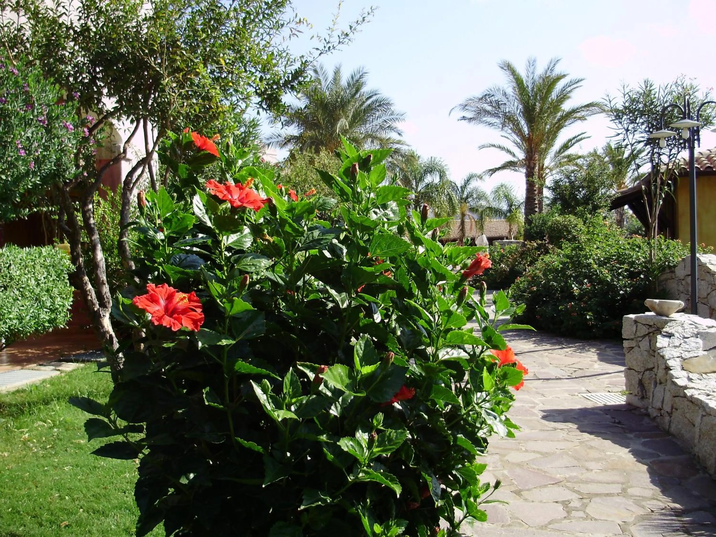 Garden in Cruccùris Resort - Adults Only