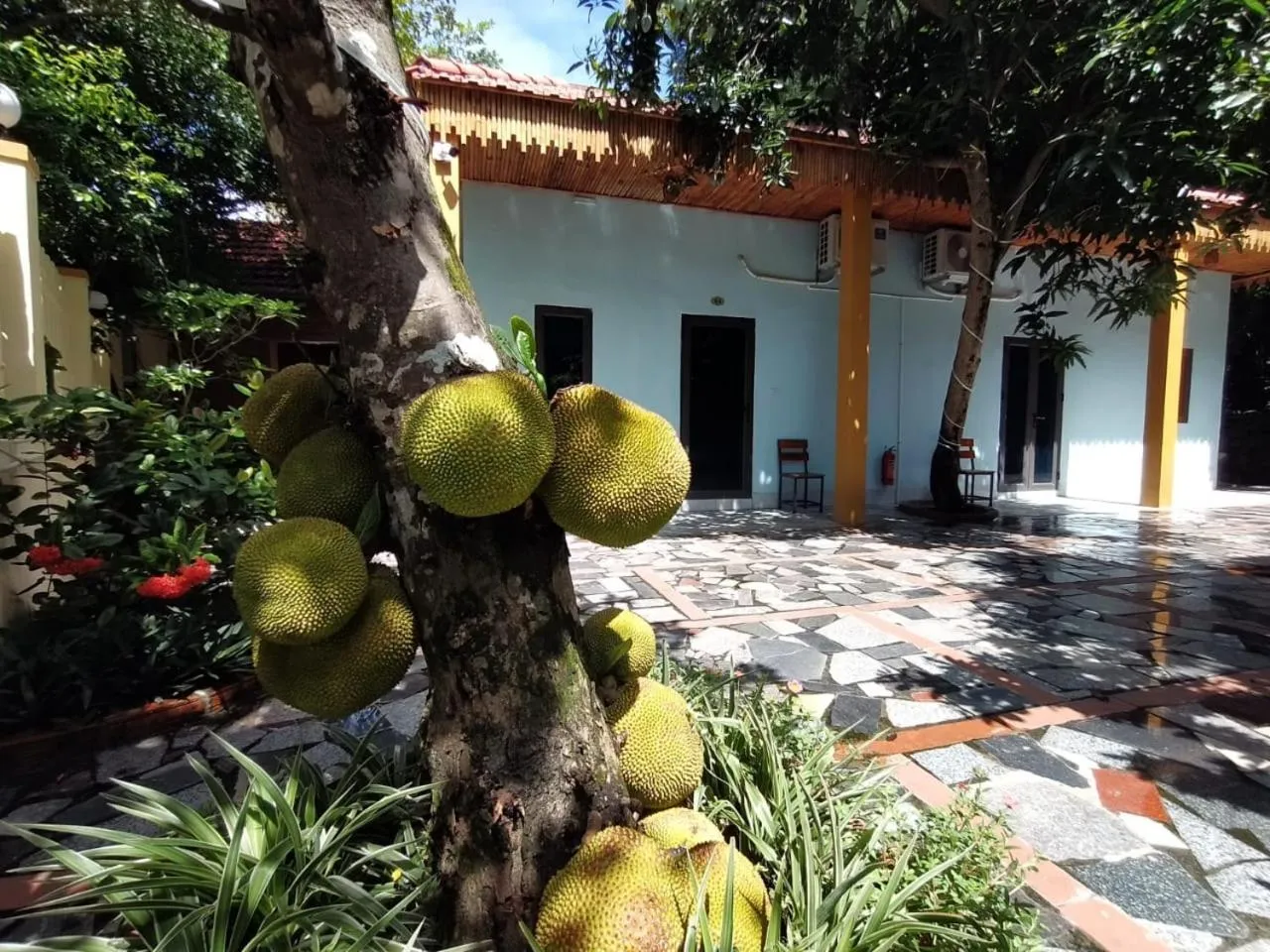 Garden in Trang An Elegant Homestay