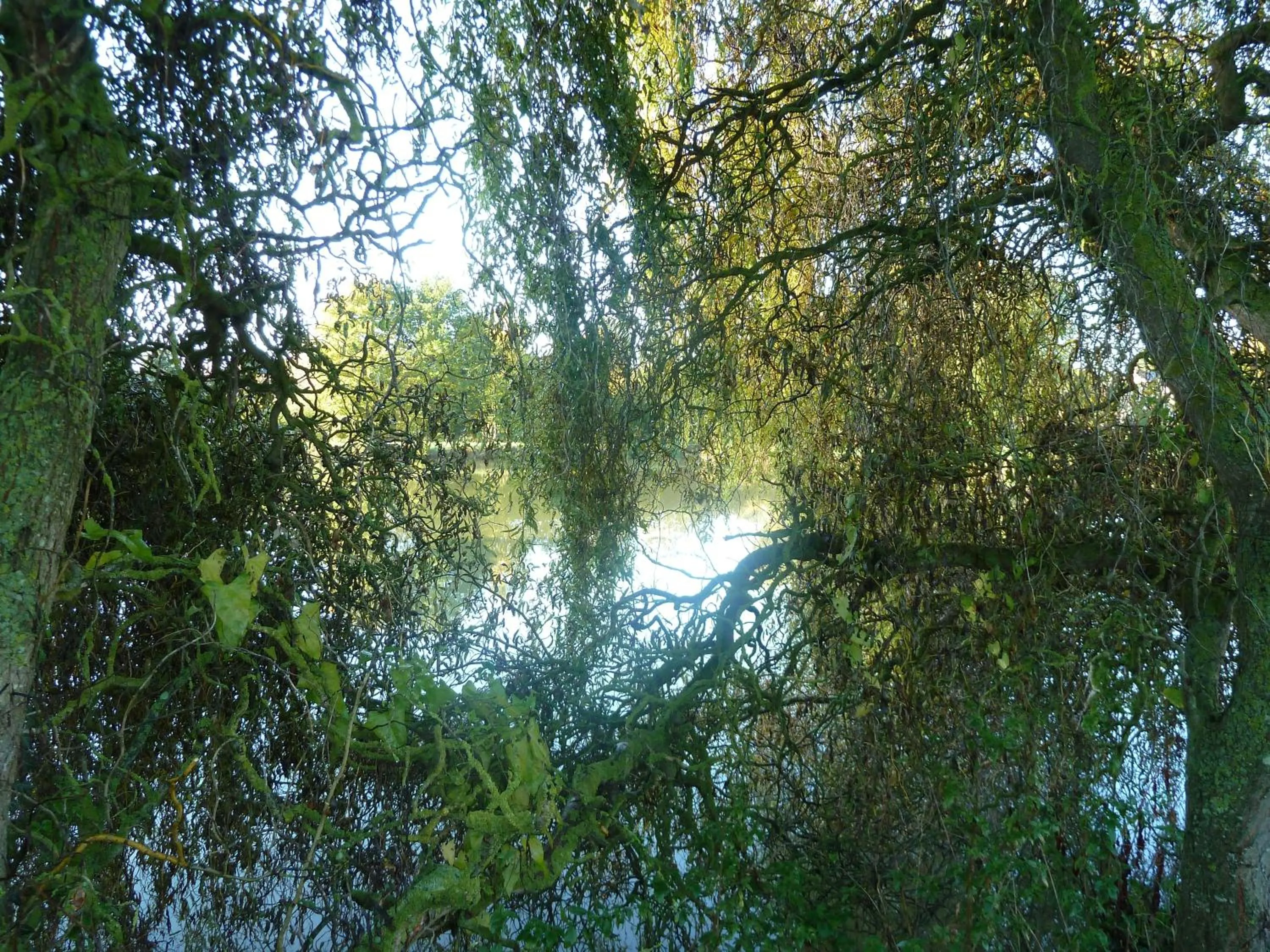 Lake view in B&B L'Atelier du Presbytère