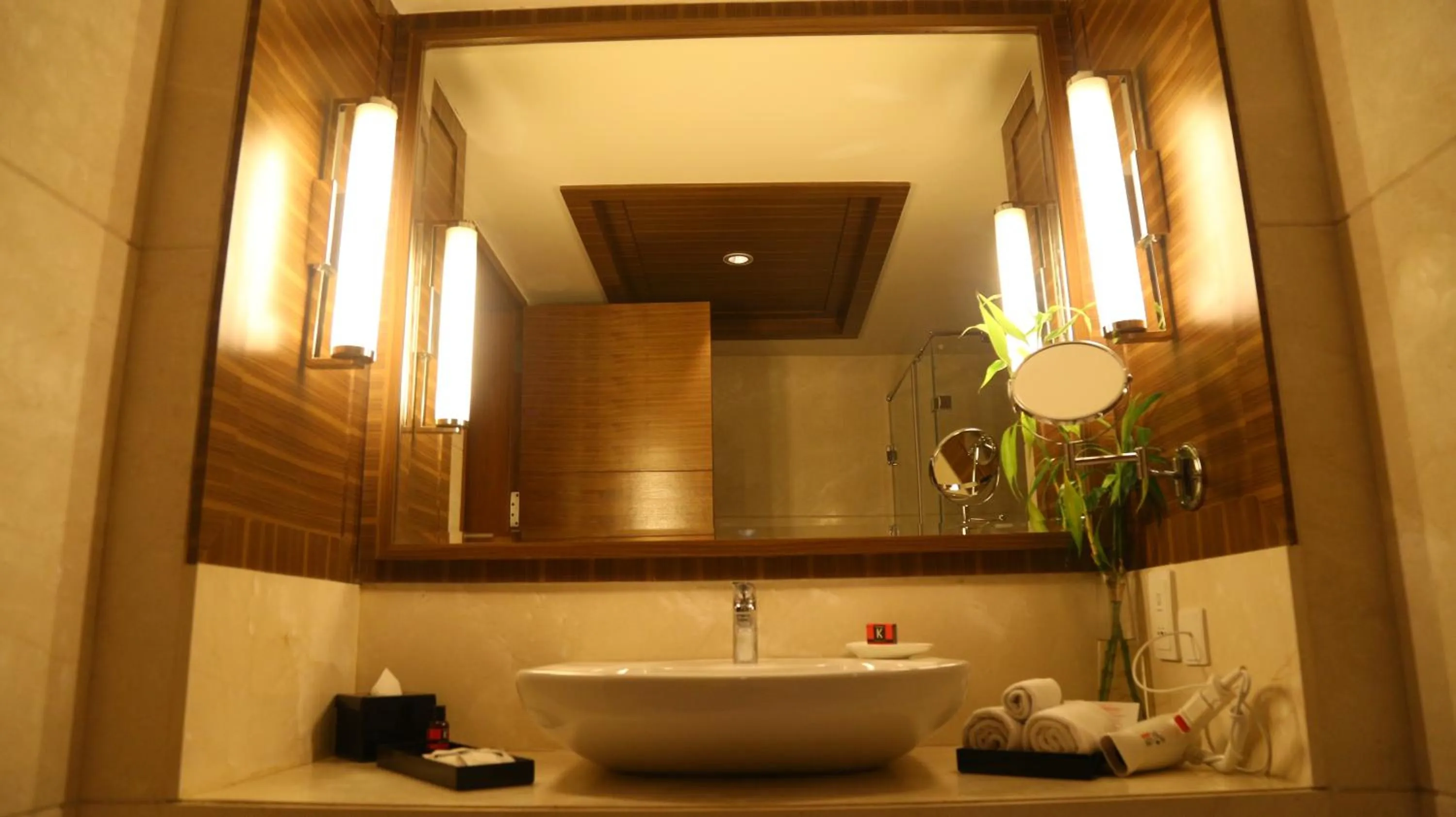 Bathroom in The Lalit Chandigarh
