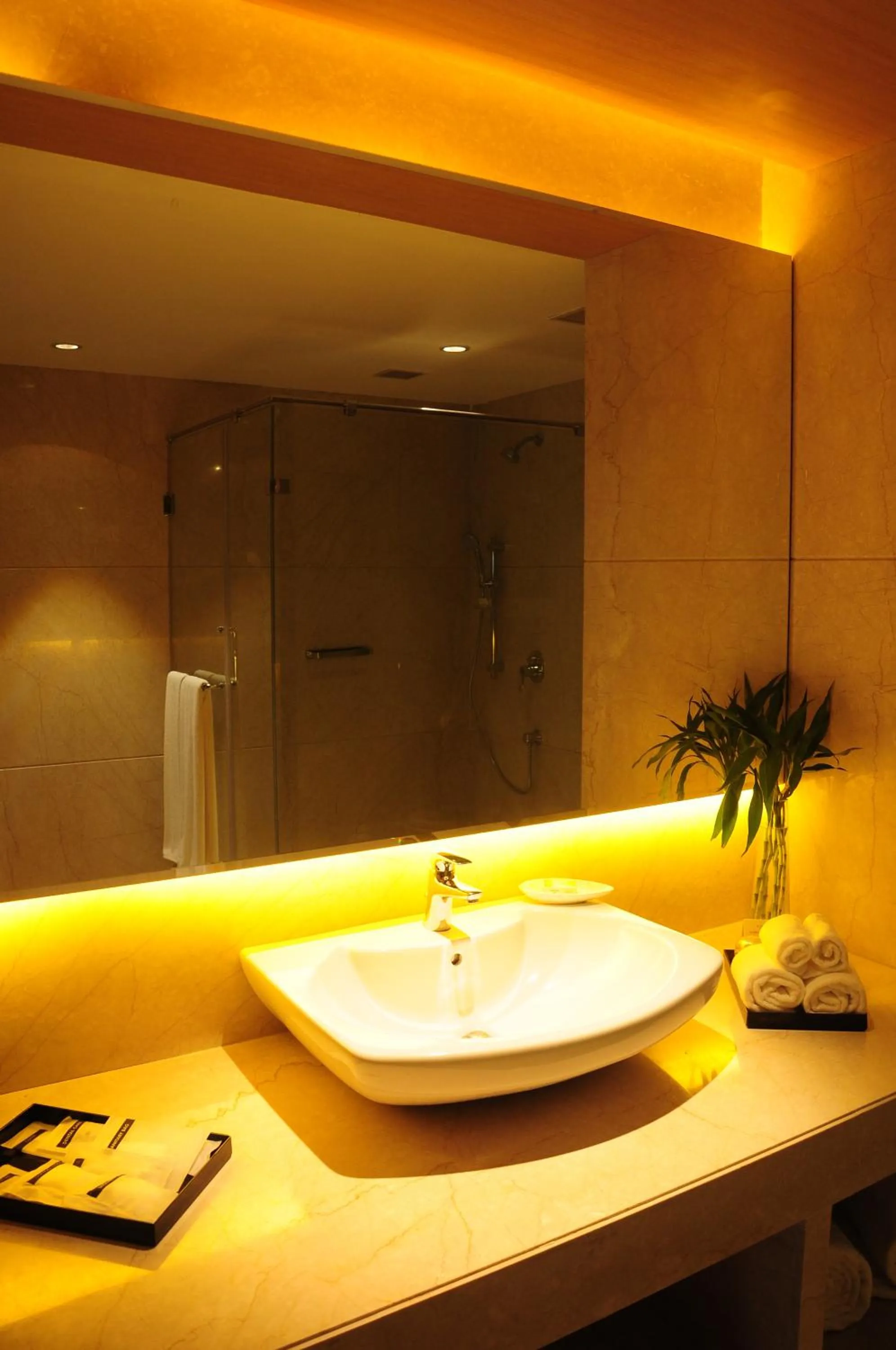 Bathroom in The Lalit Chandigarh