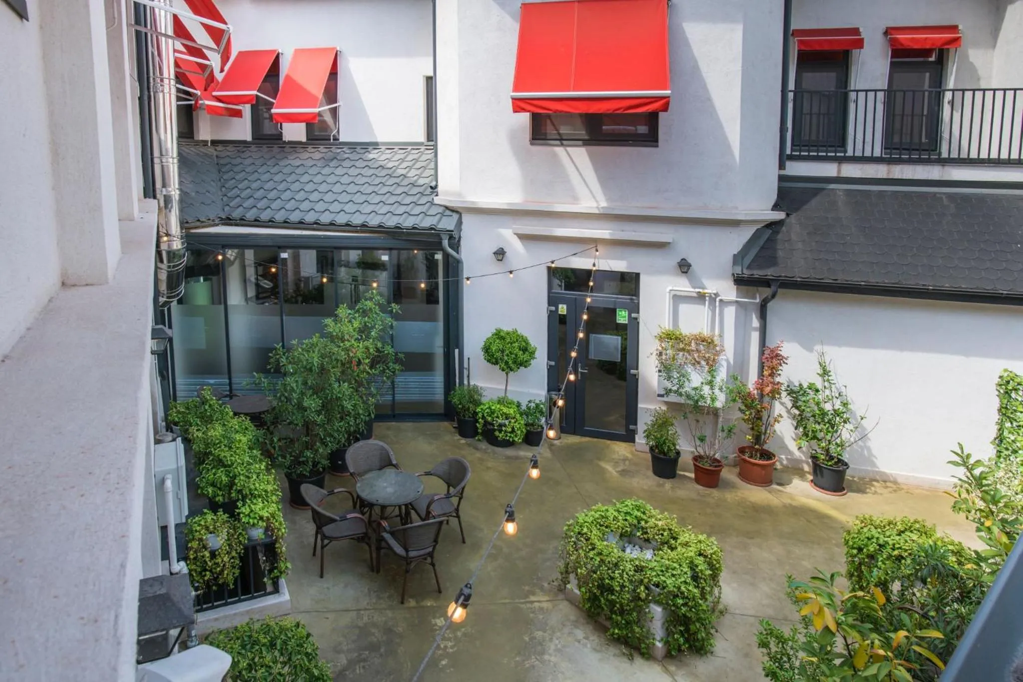 Garden view in Hotel Forty One