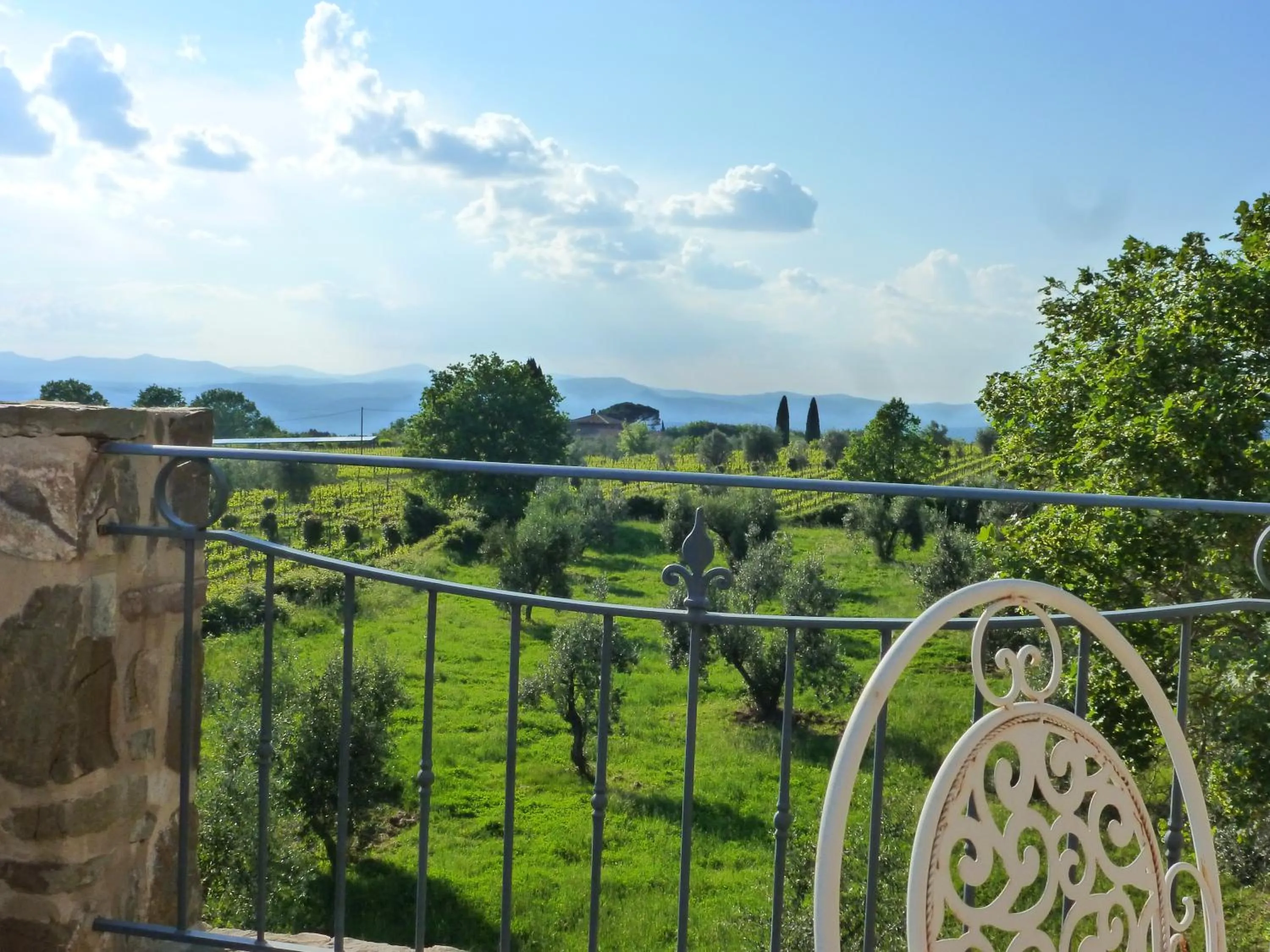View (from property/room) in Castel Brunello