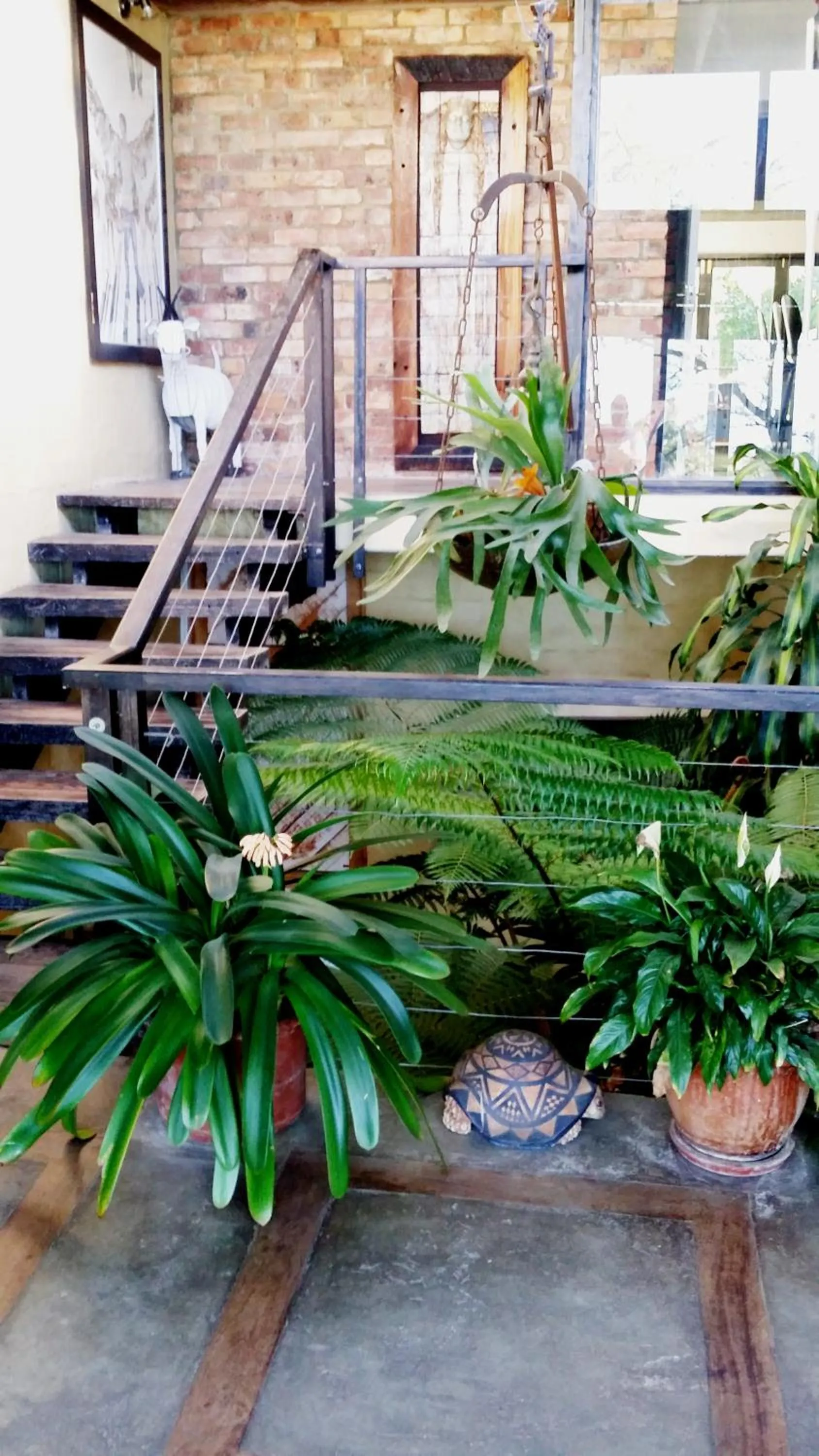 Garden in Hornbill House Self Catering Accommodation