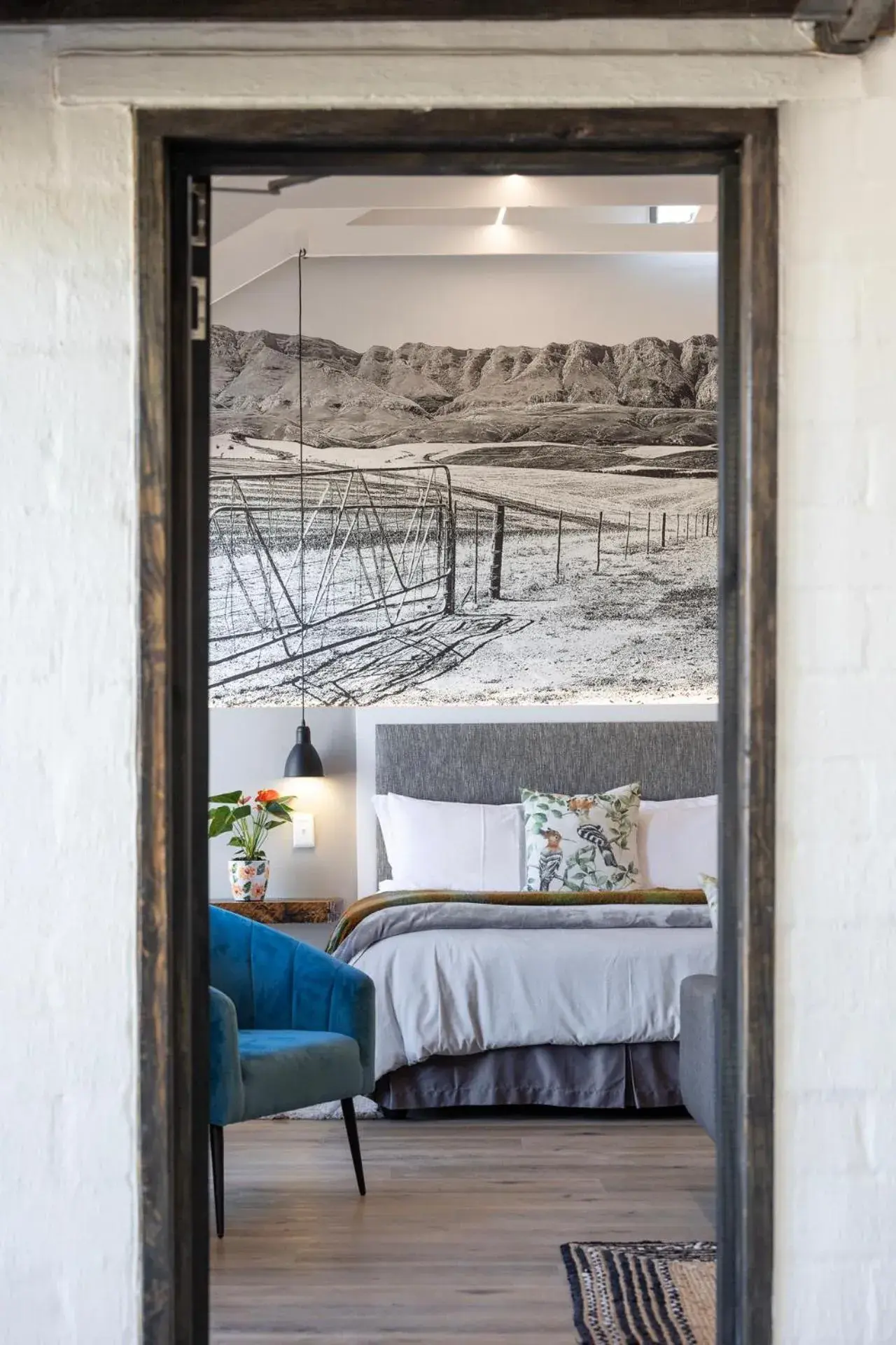 Queen Studio in Hornbill House Self Catering Accommodation Queen Studio in Hornbill House Self Catering Accommodation