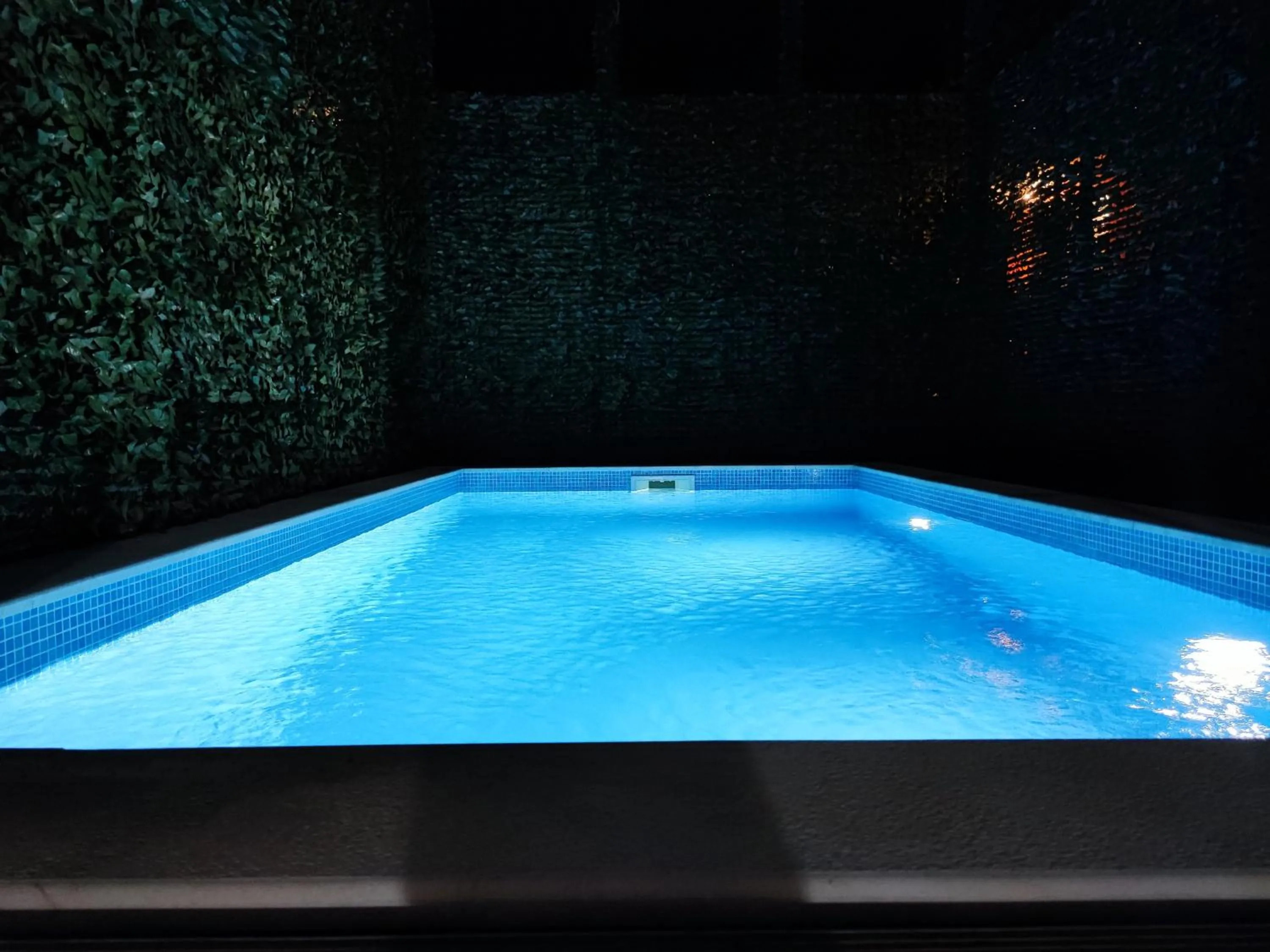 Swimming pool in Villa Vista Real