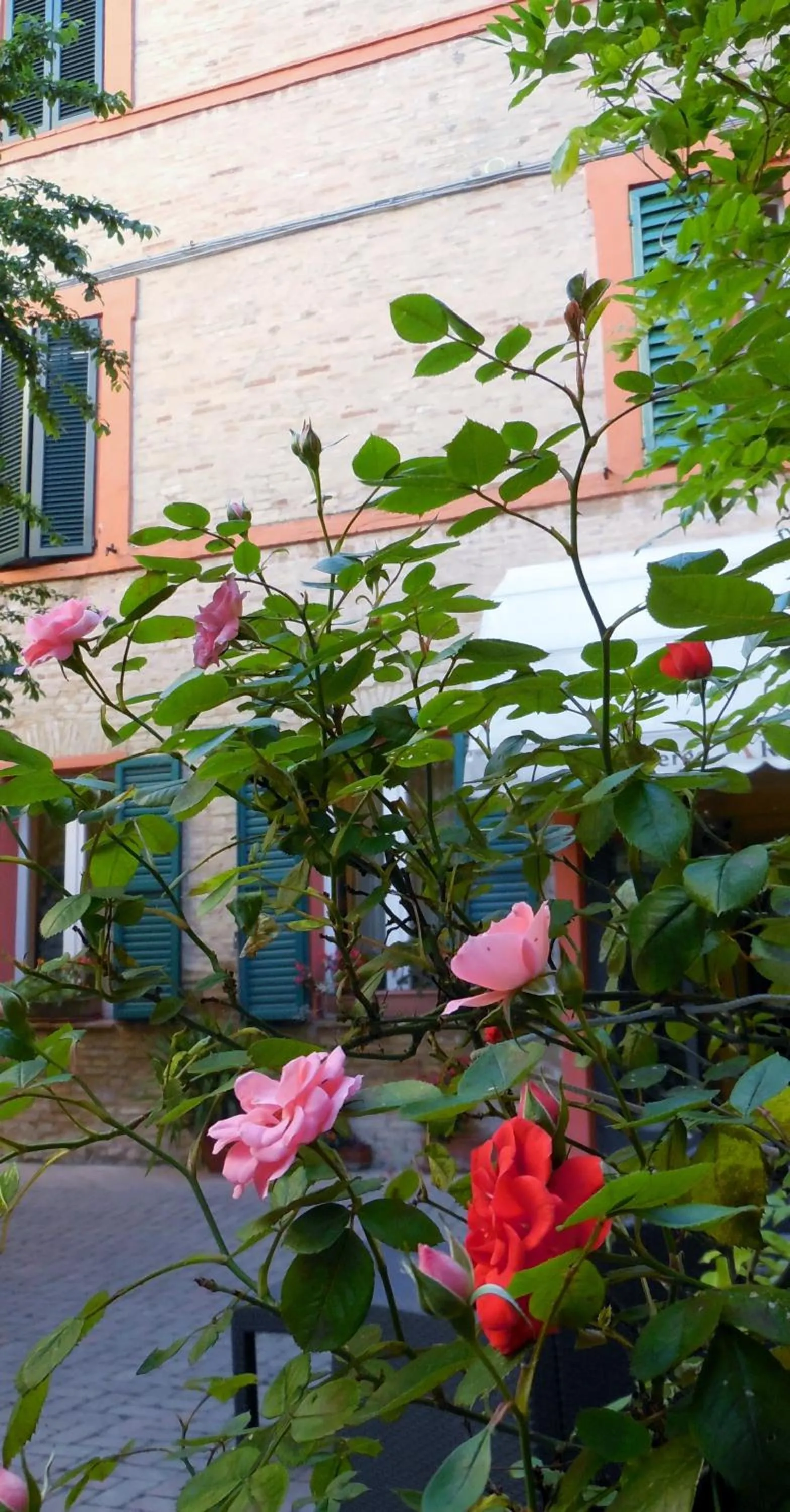 Other in Appartamenti Arena