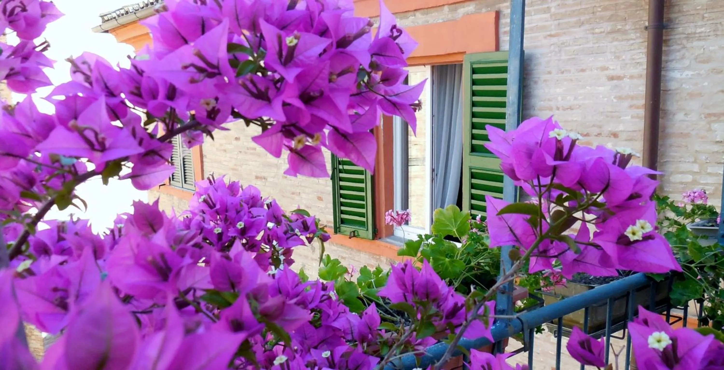 Other in Appartamenti Arena