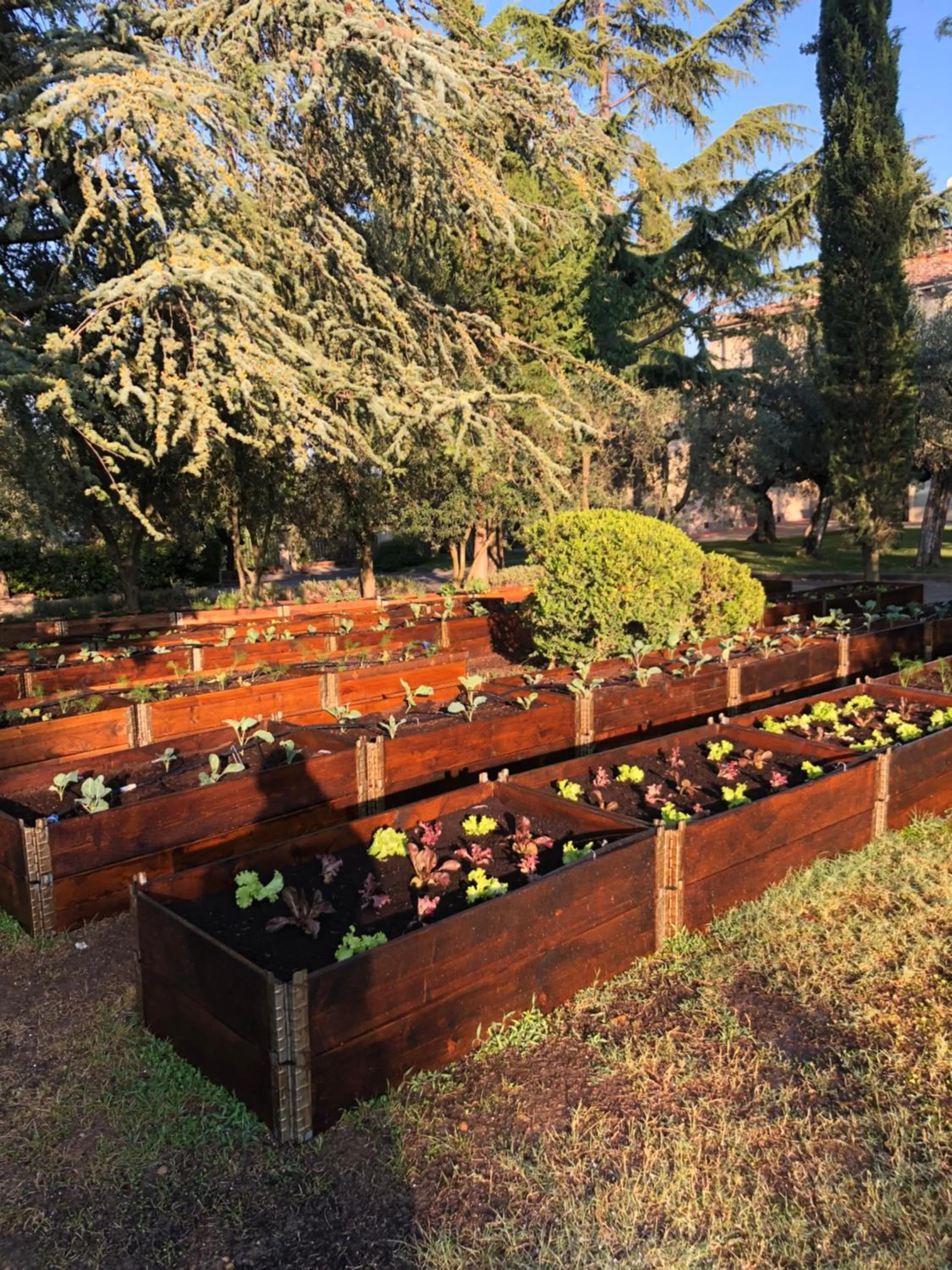 Activities in Villa I Barronci Resort & Spa