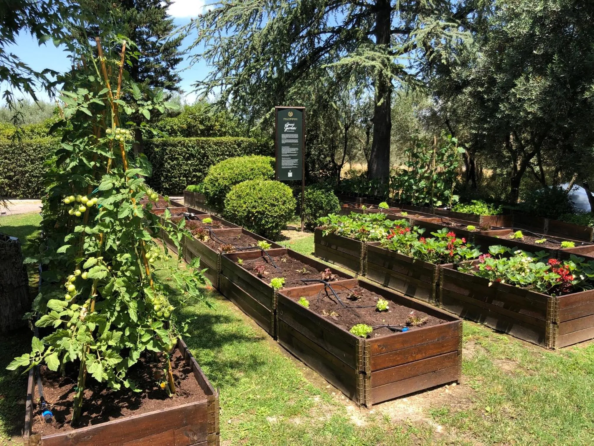 Garden in Villa I Barronci Resort & Spa