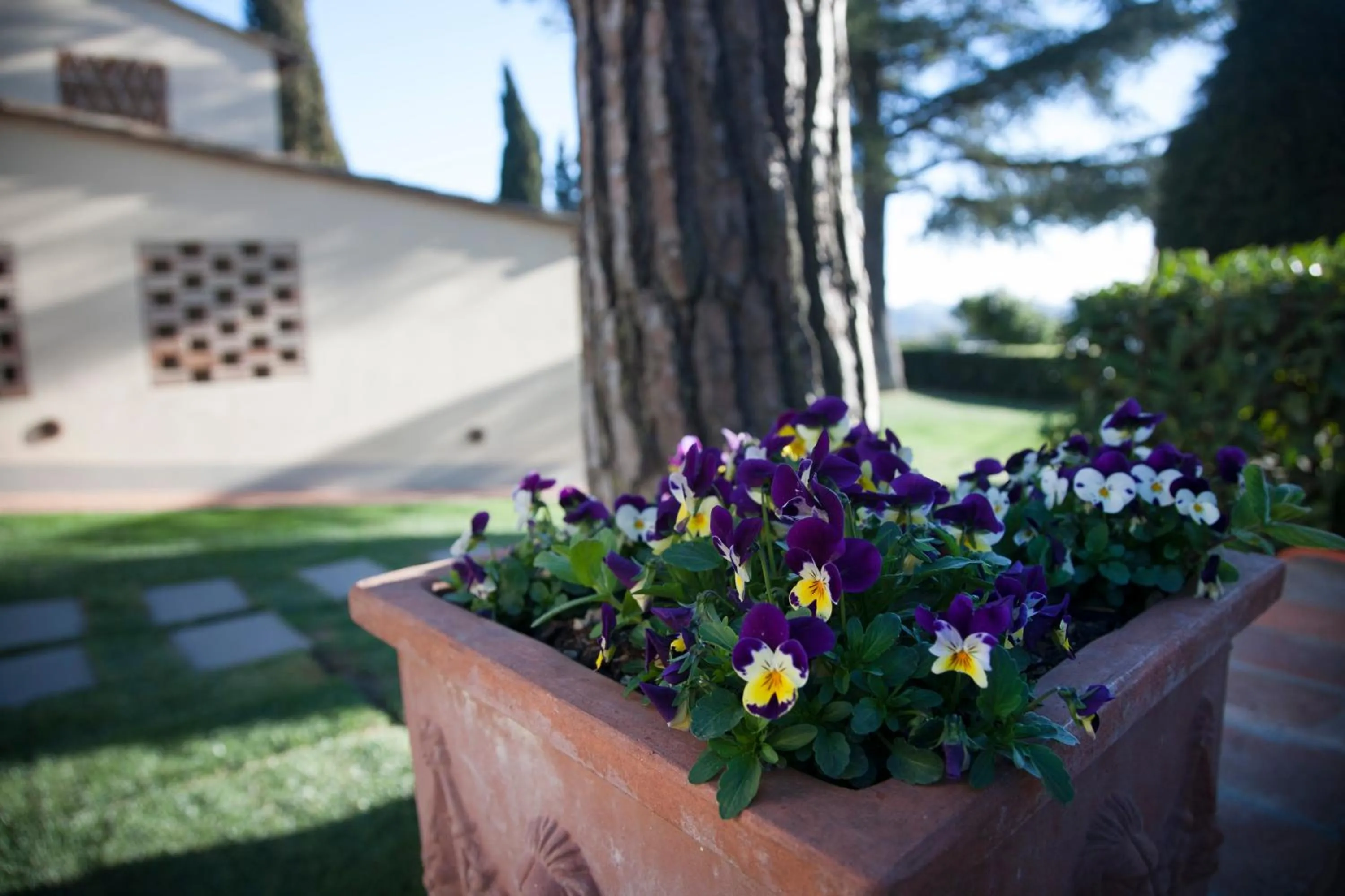 Decorative detail in Villa I Barronci Resort & Spa