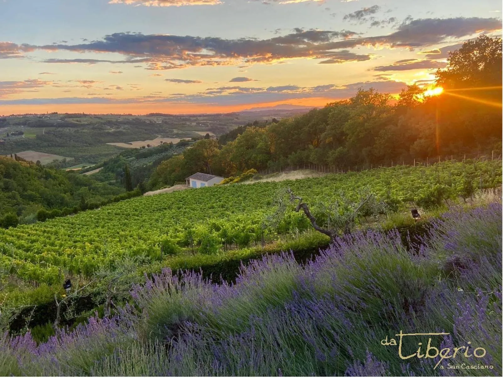 Restaurant/places to eat in Villa I Barronci Resort & Spa