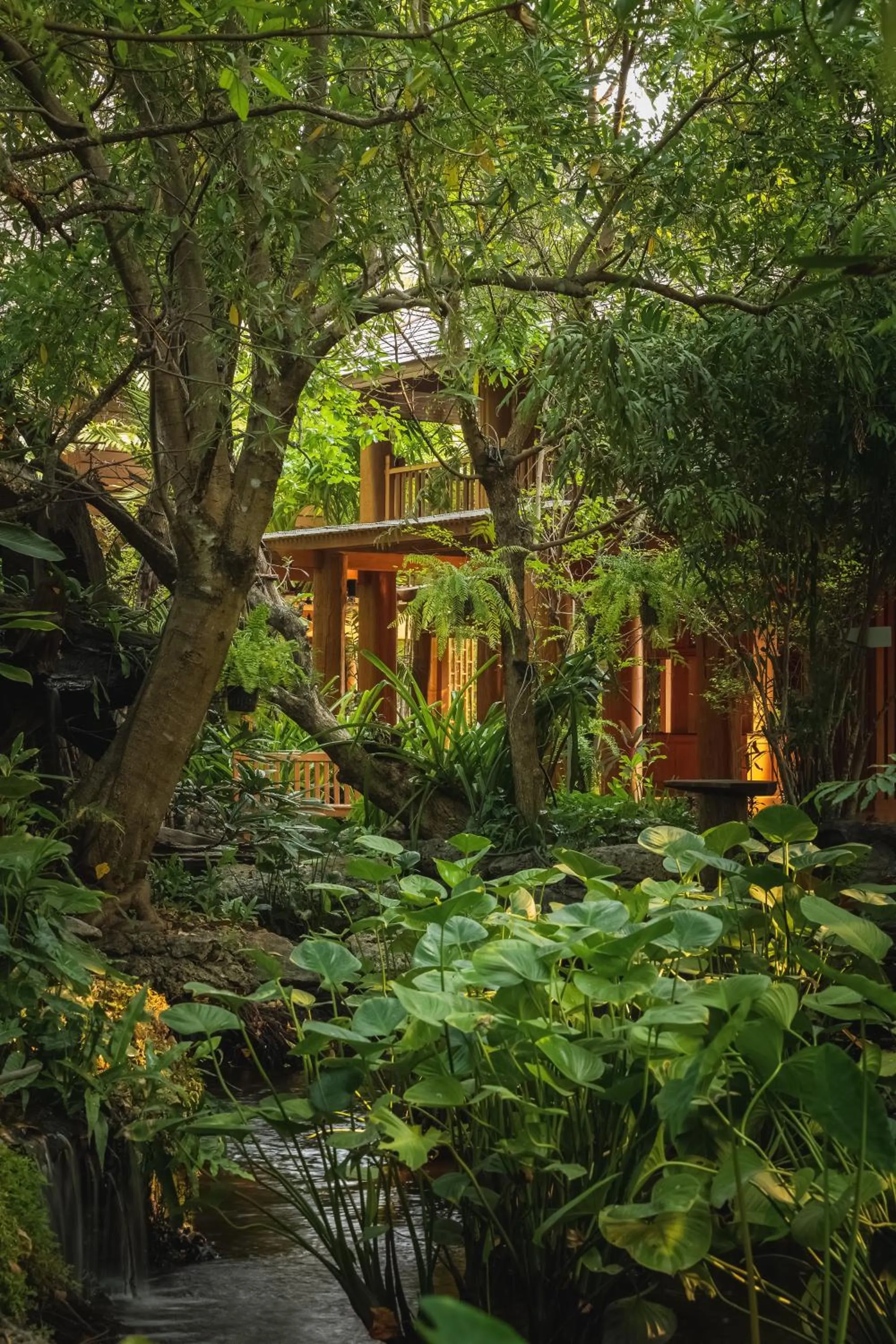 Other in Vanasin Residence