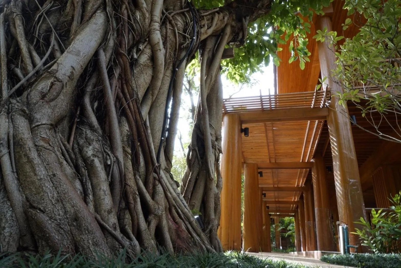 Property building in Vanasin Residence