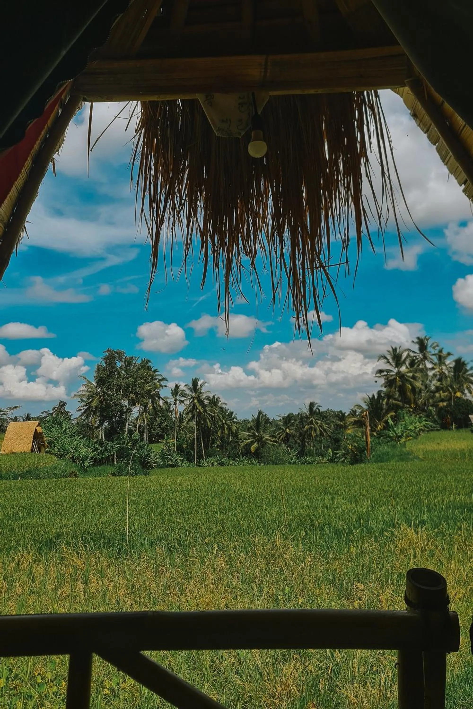Natural landscape in Swaha Retreat & Eco Park Ubud