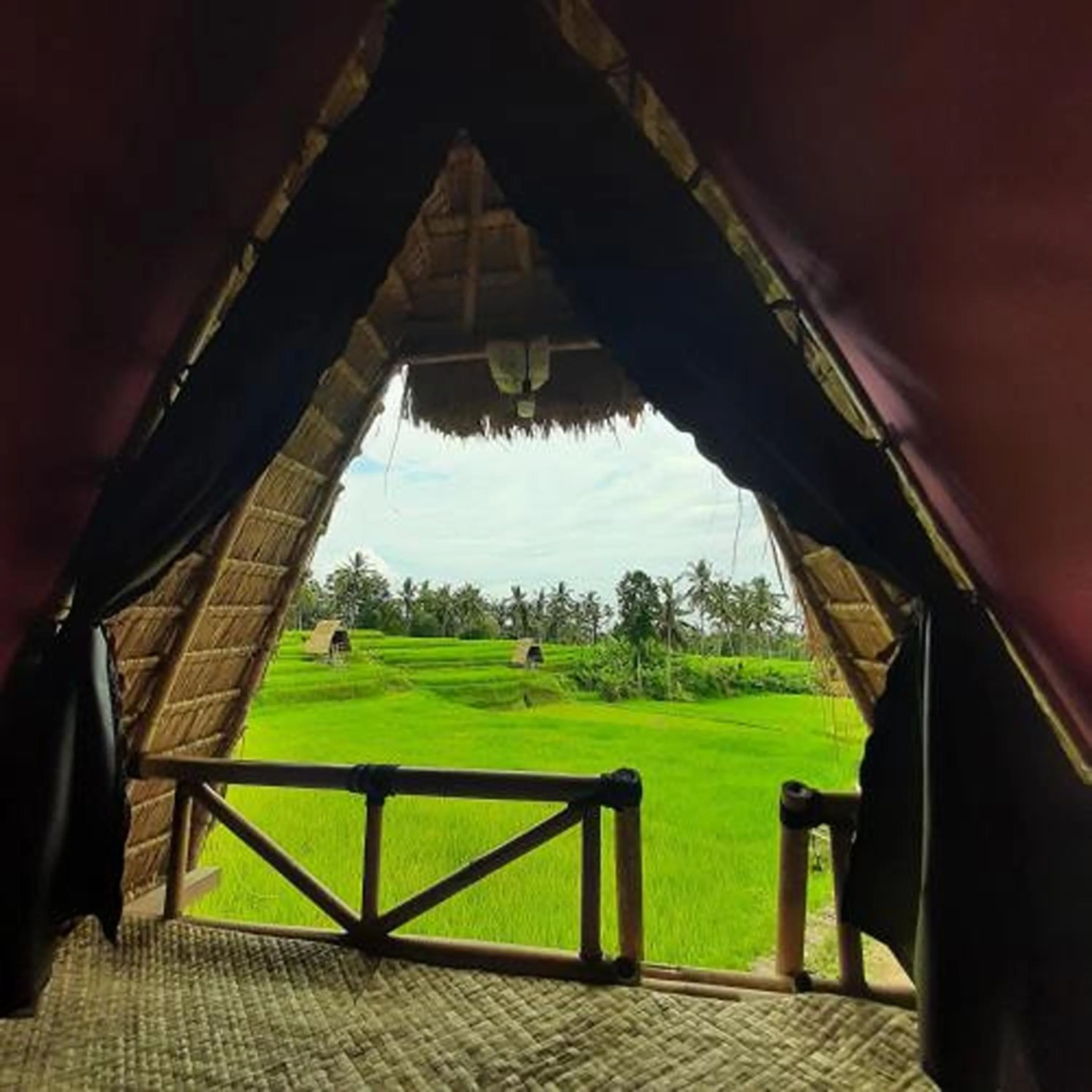 Natural landscape in Swaha Retreat & Eco Park Ubud